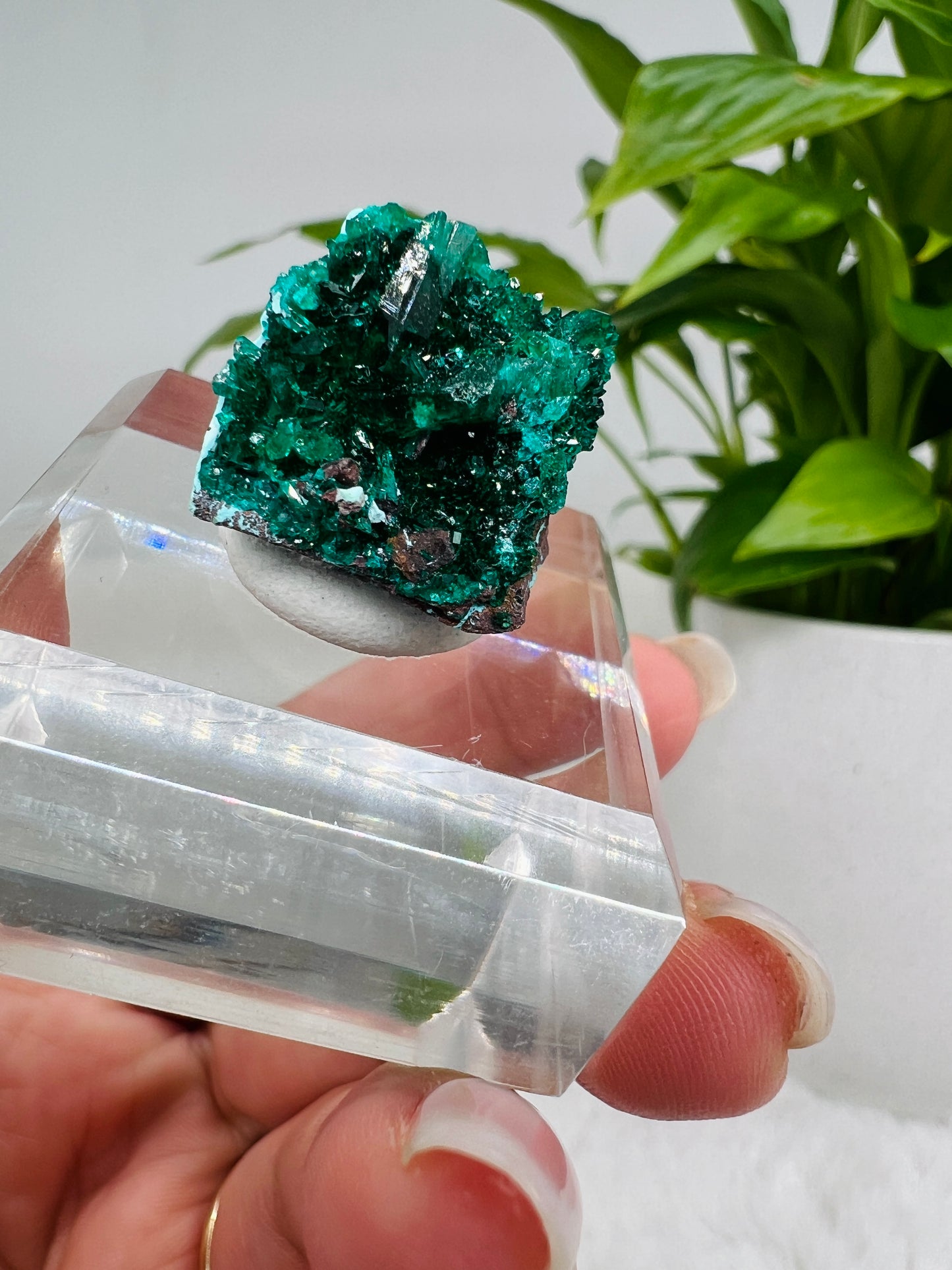 Dioptase on Plancheite