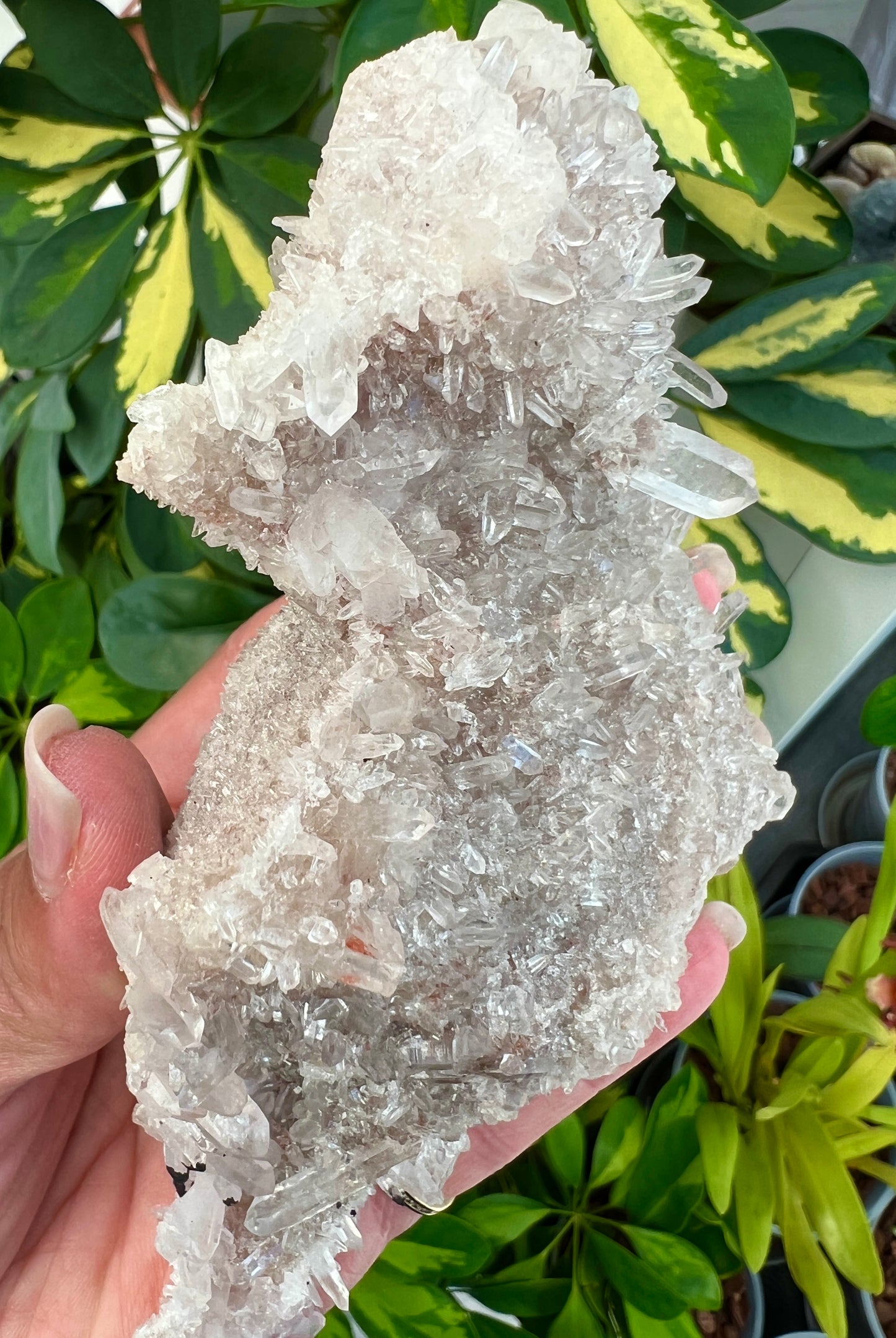 Pink Himalayan Samadhi Quartz