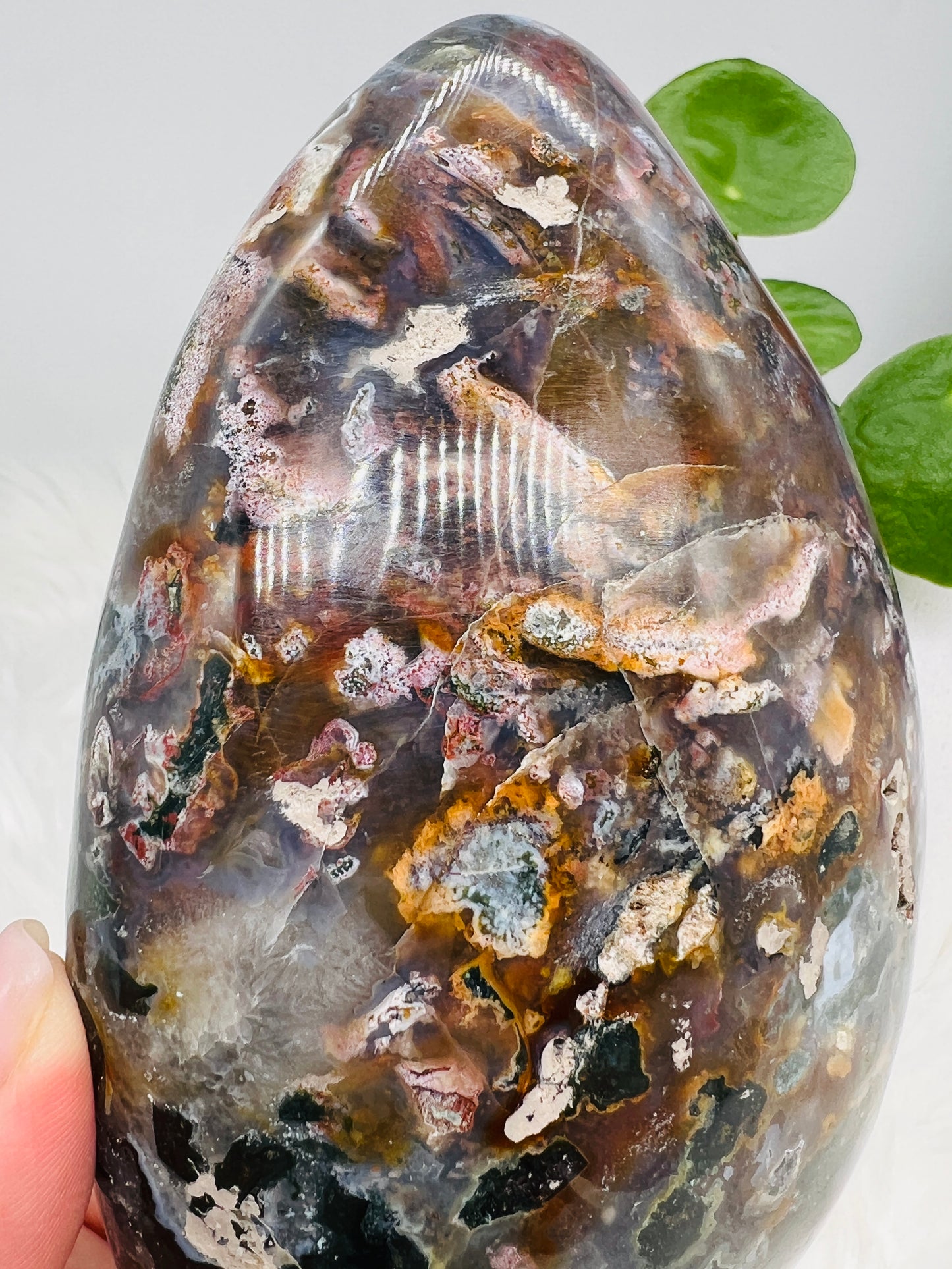 Ocean Jasper Freeform