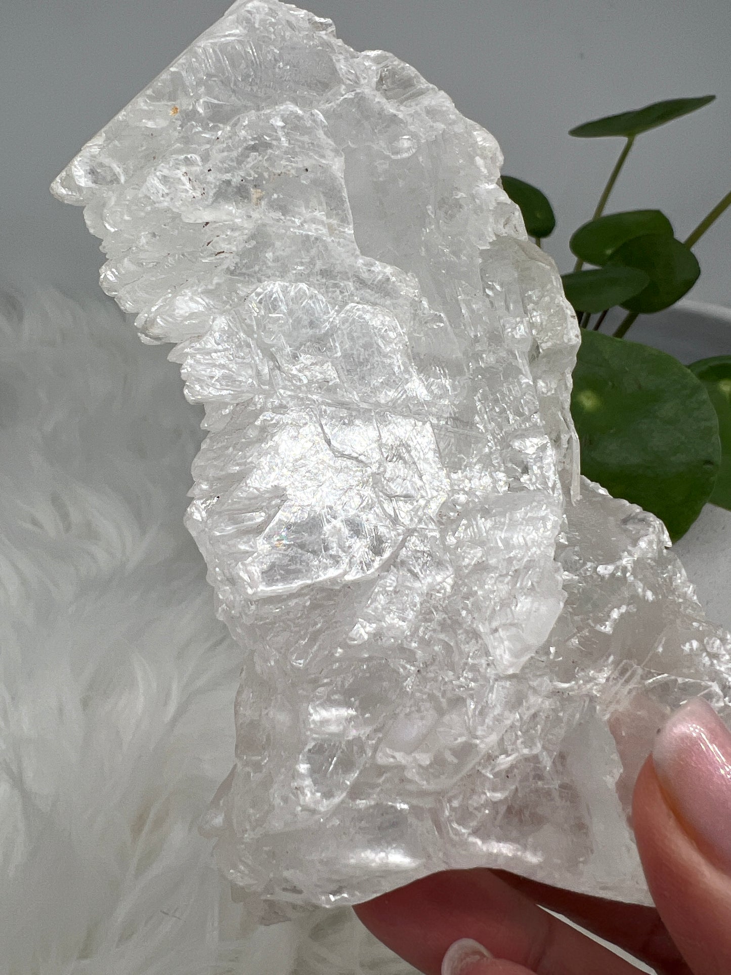 Fishtail selenite