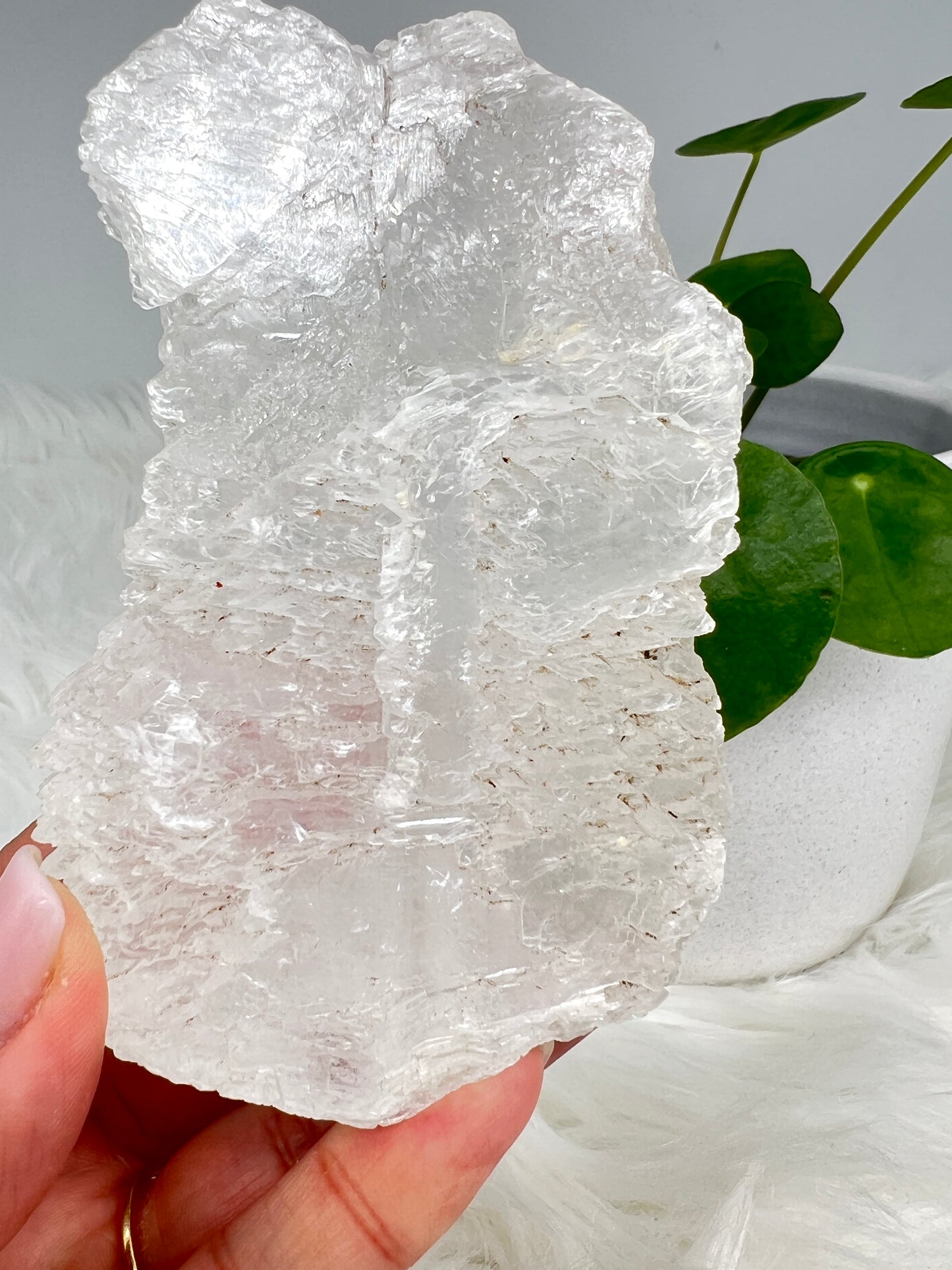 Fishtail selenite