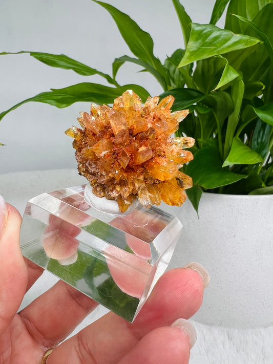 Creedite Flower