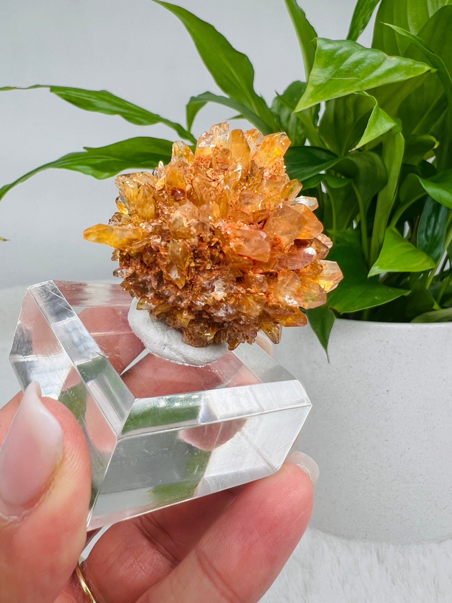 Creedite Flower