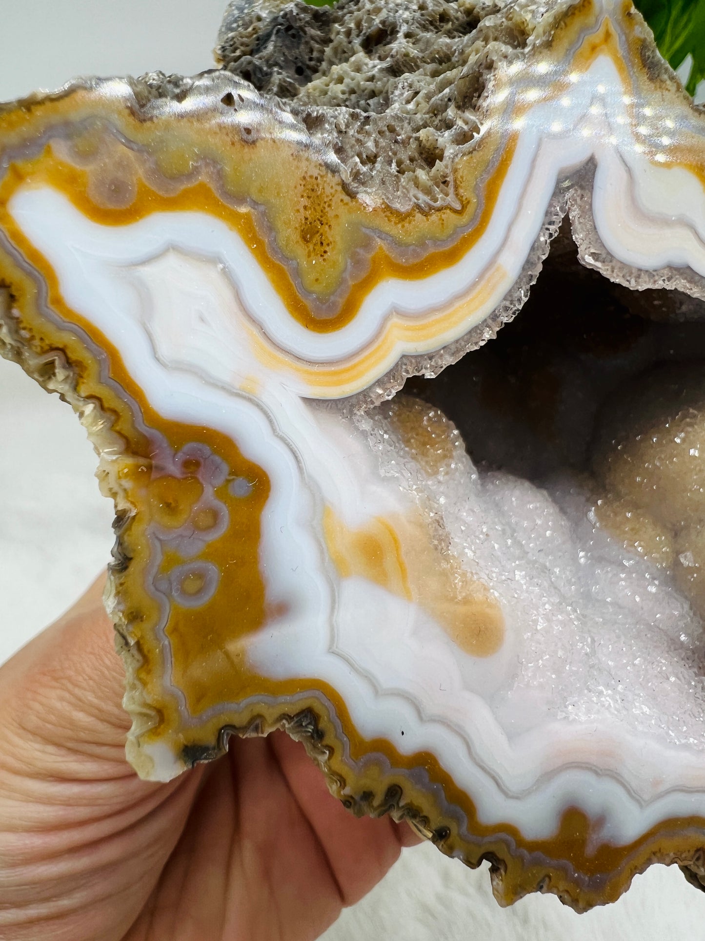 Lilac-Blue Agate Geode