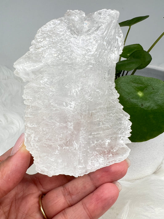 Fishtail selenite