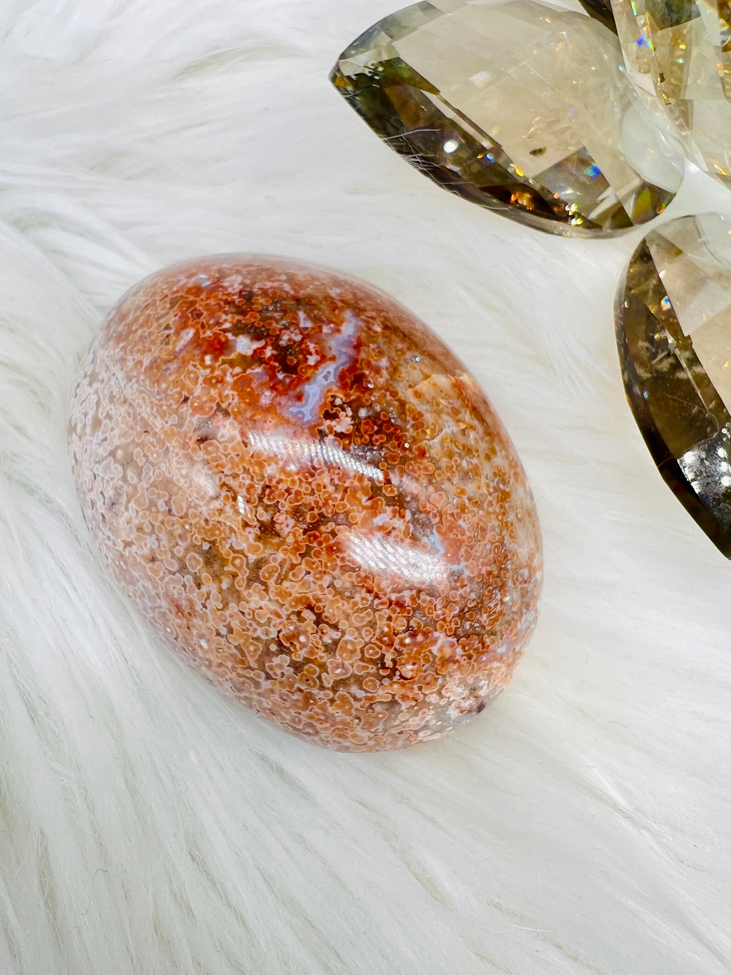 Ocean Jasper Palmstone