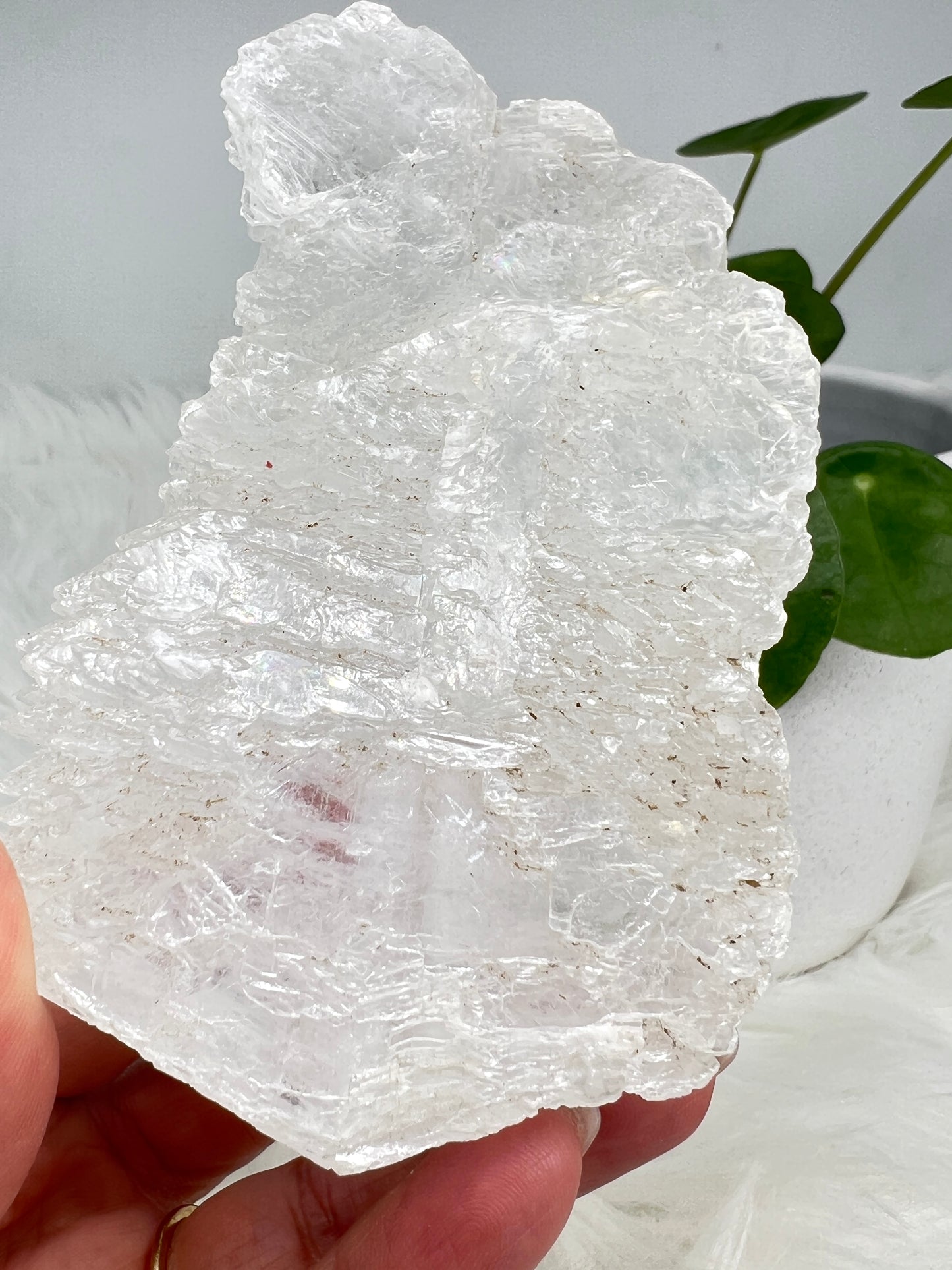 Fishtail selenite