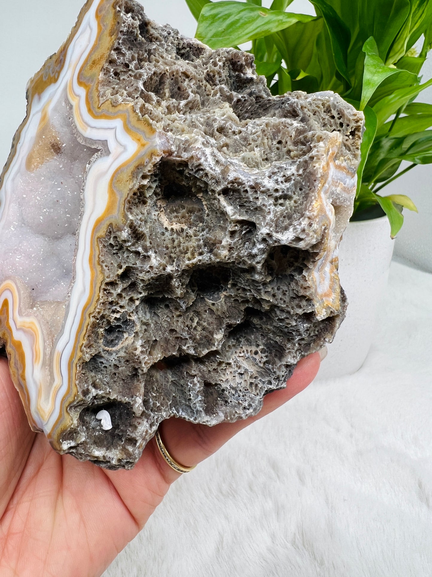 Lilac-Blue Agate Geode