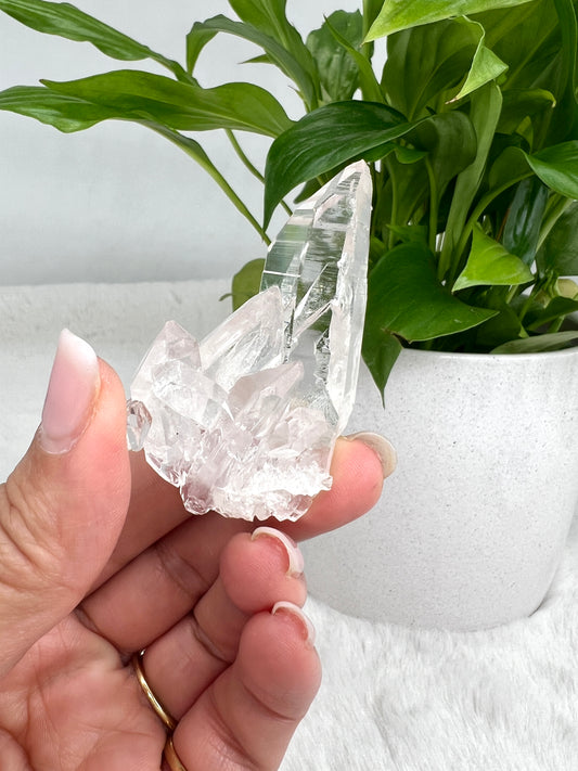 Arkansas Lemurian Quartz