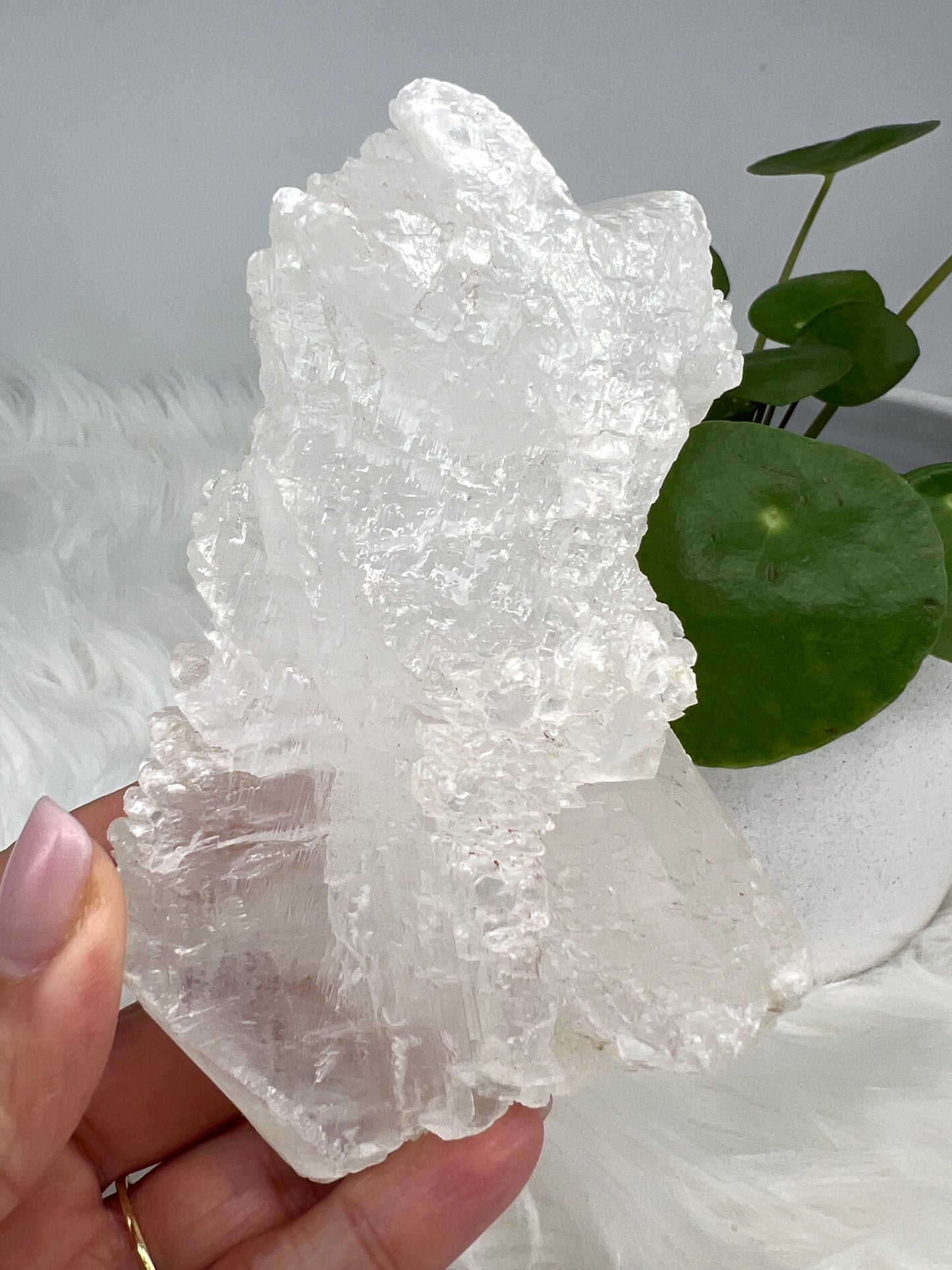 Fishtail selenite