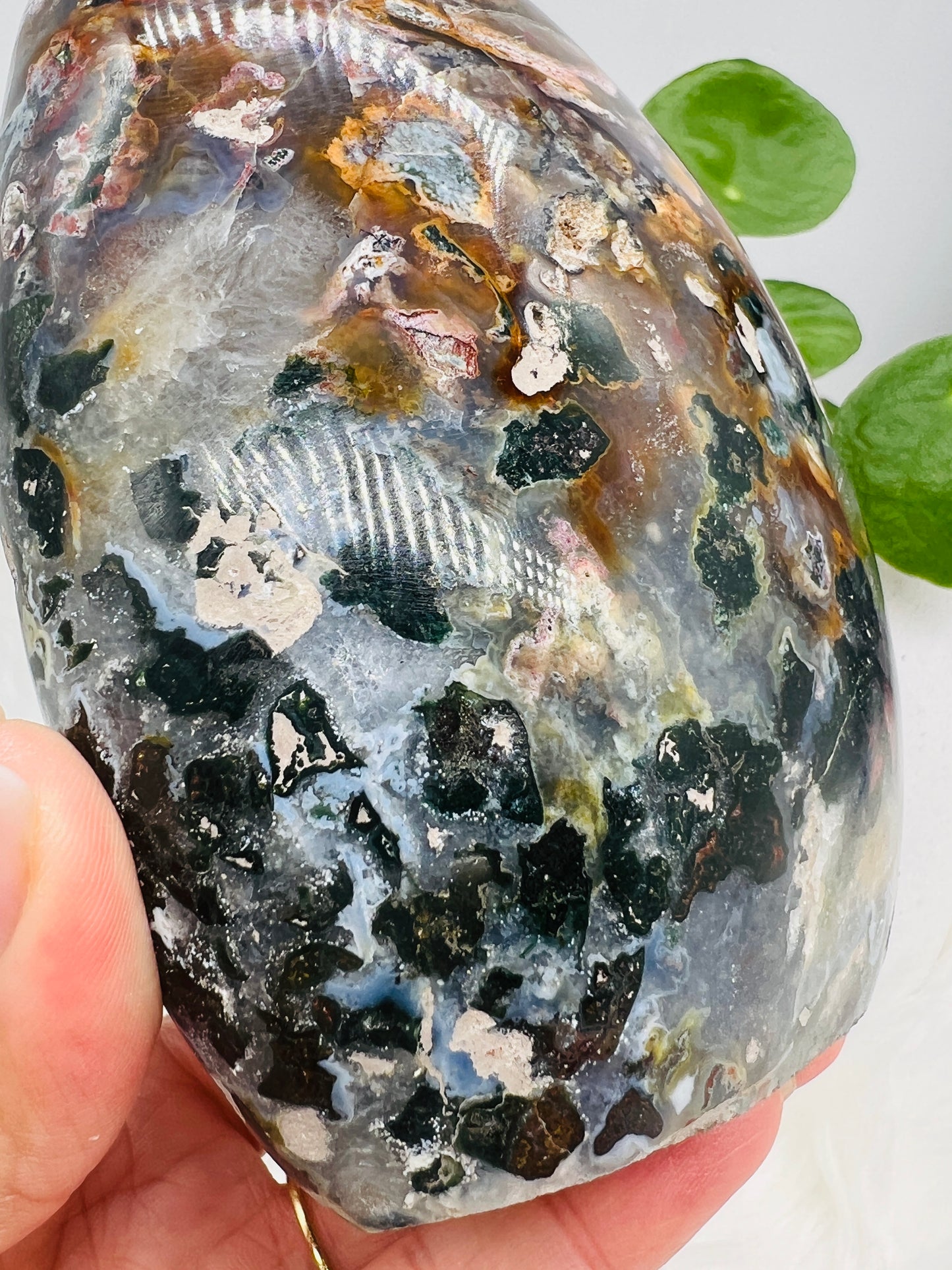 Ocean Jasper Freeform