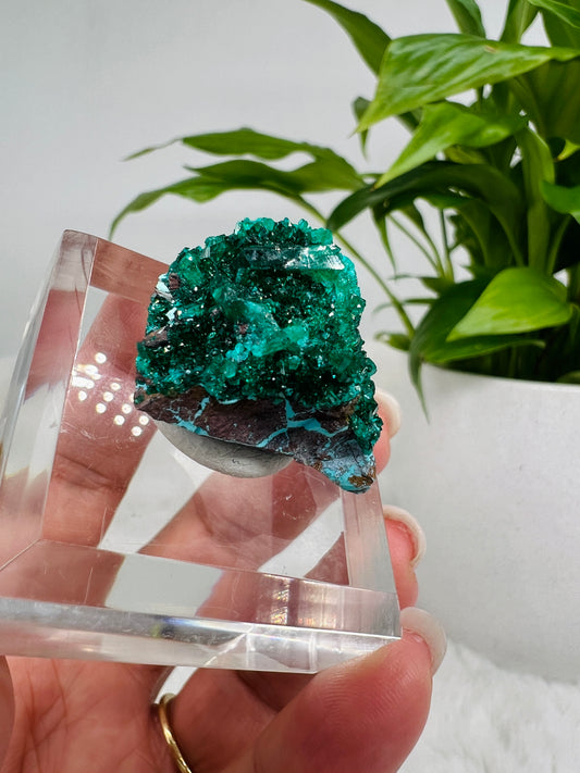 Dioptase on Plancheite