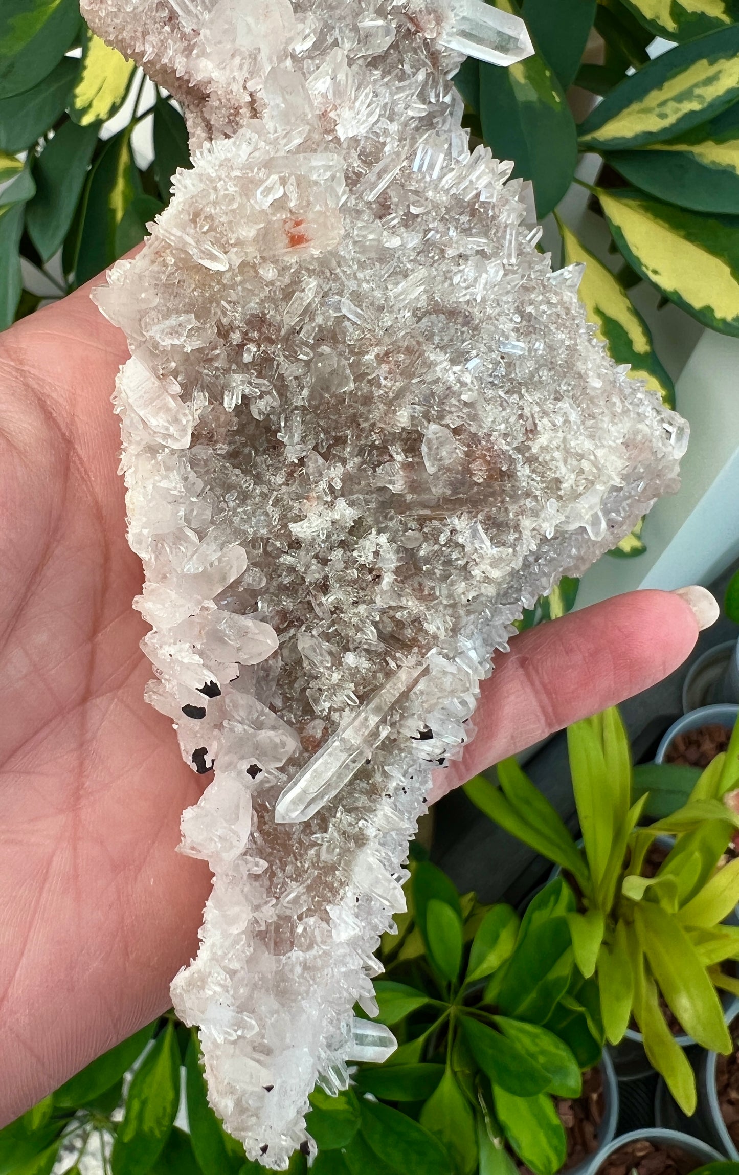 Pink Himalayan Samadhi Quartz