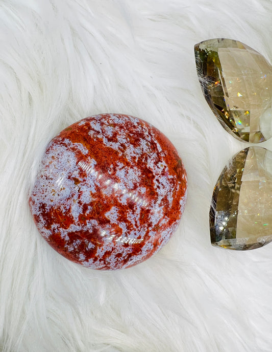 Ocean Jasper Palmstone