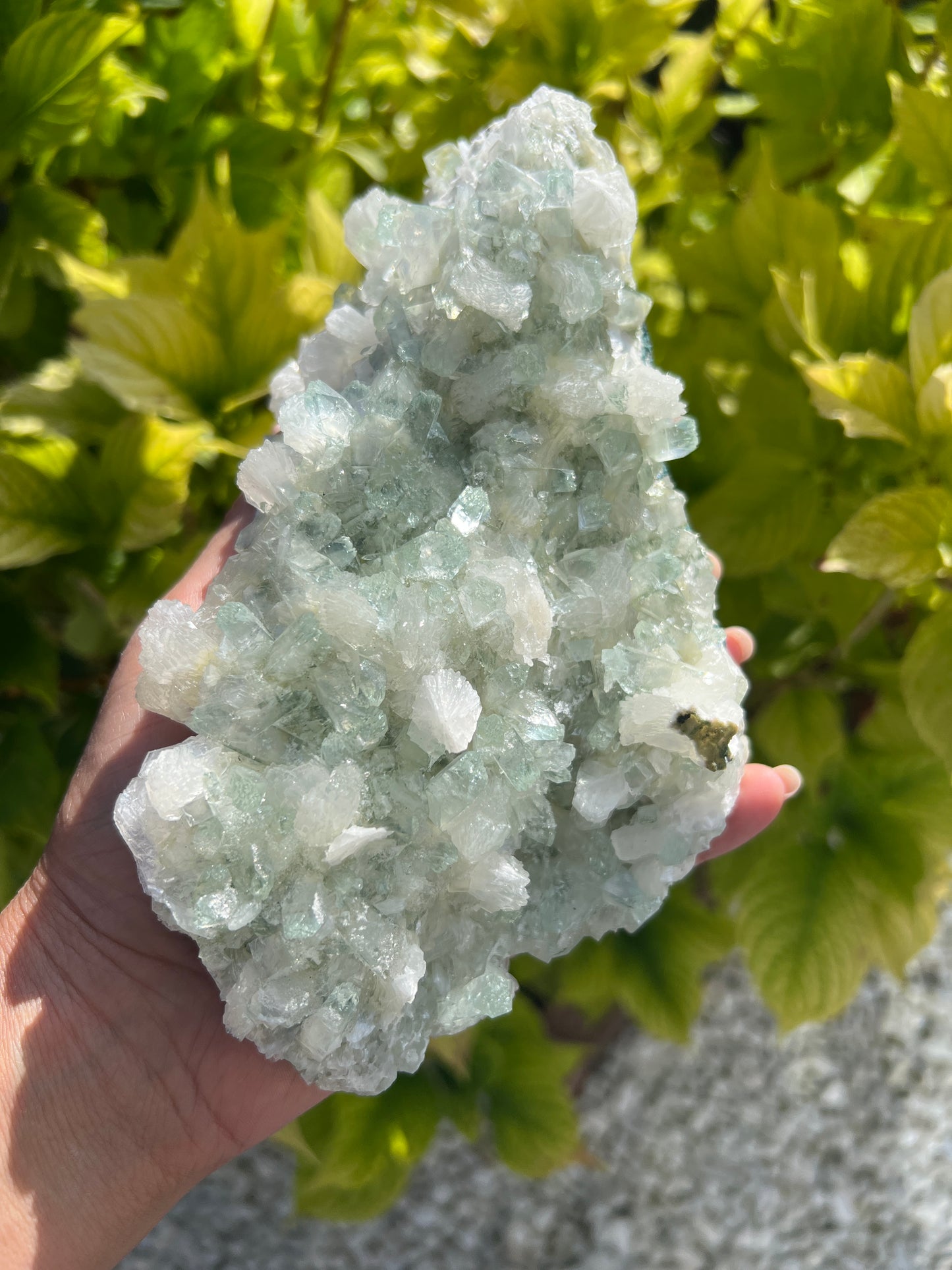 Mint Green Apophyllite with Stilbite (Rare)