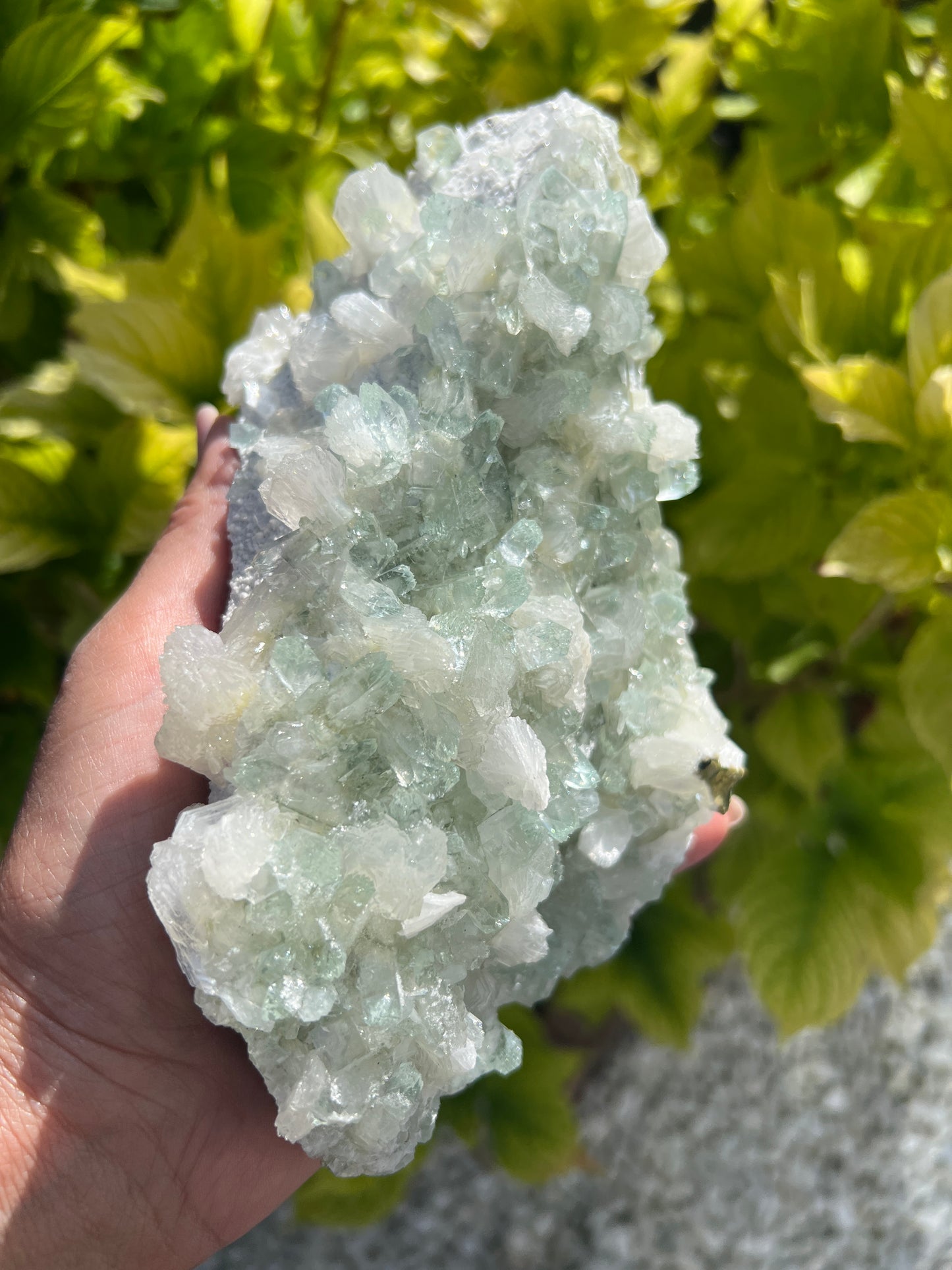 Mint Green Apophyllite with Stilbite (Rare)