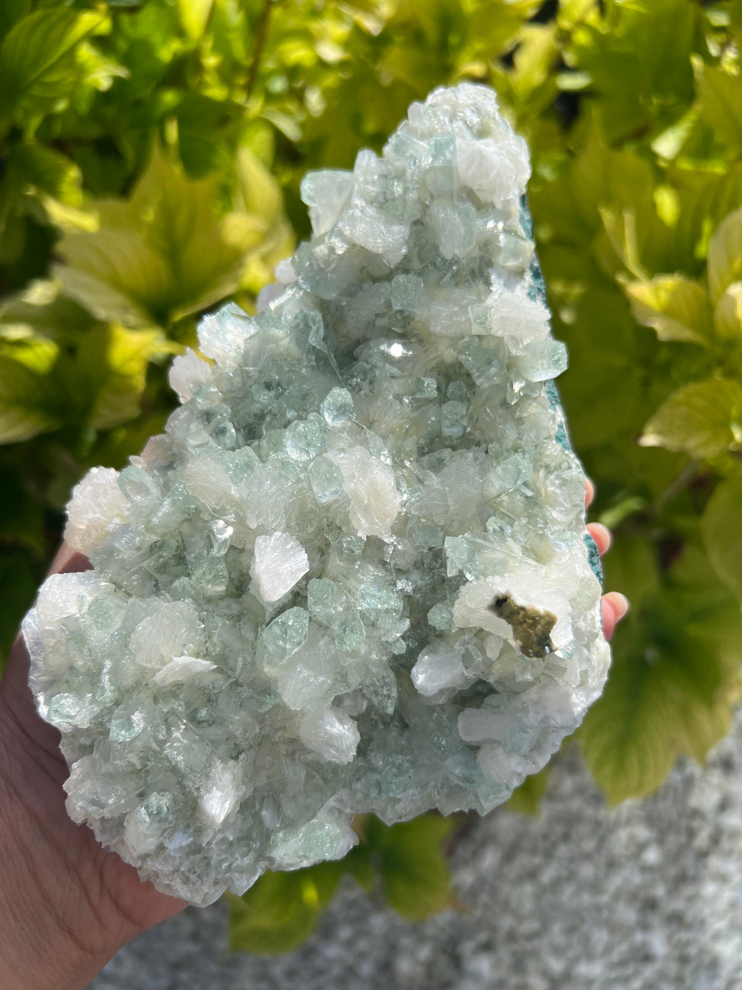 Mint Green Apophyllite with Stilbite (Rare)