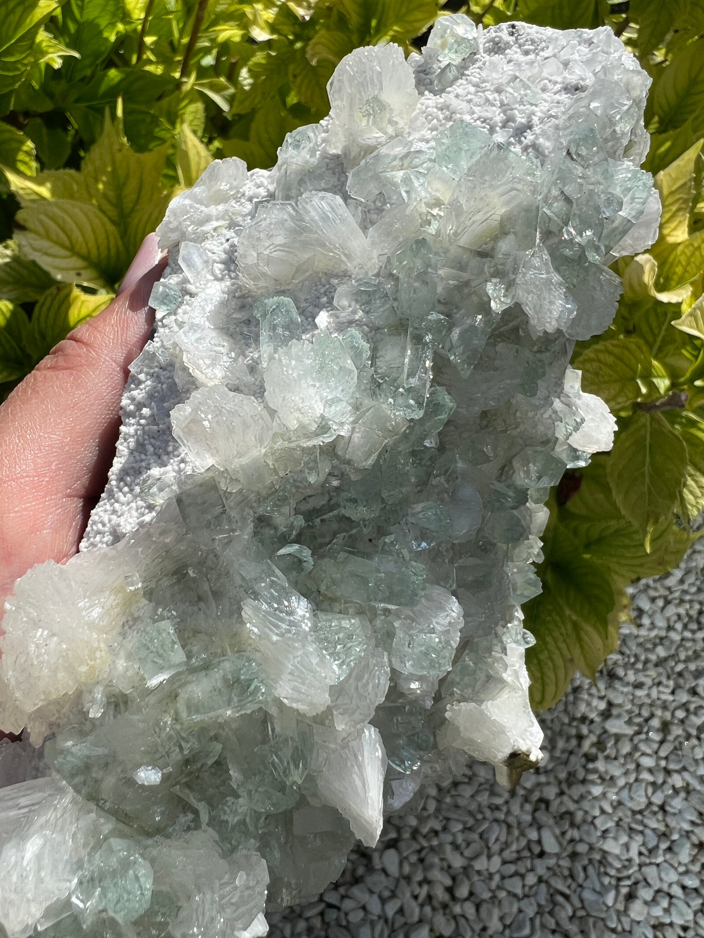 Mint Green Apophyllite with Stilbite (Rare)