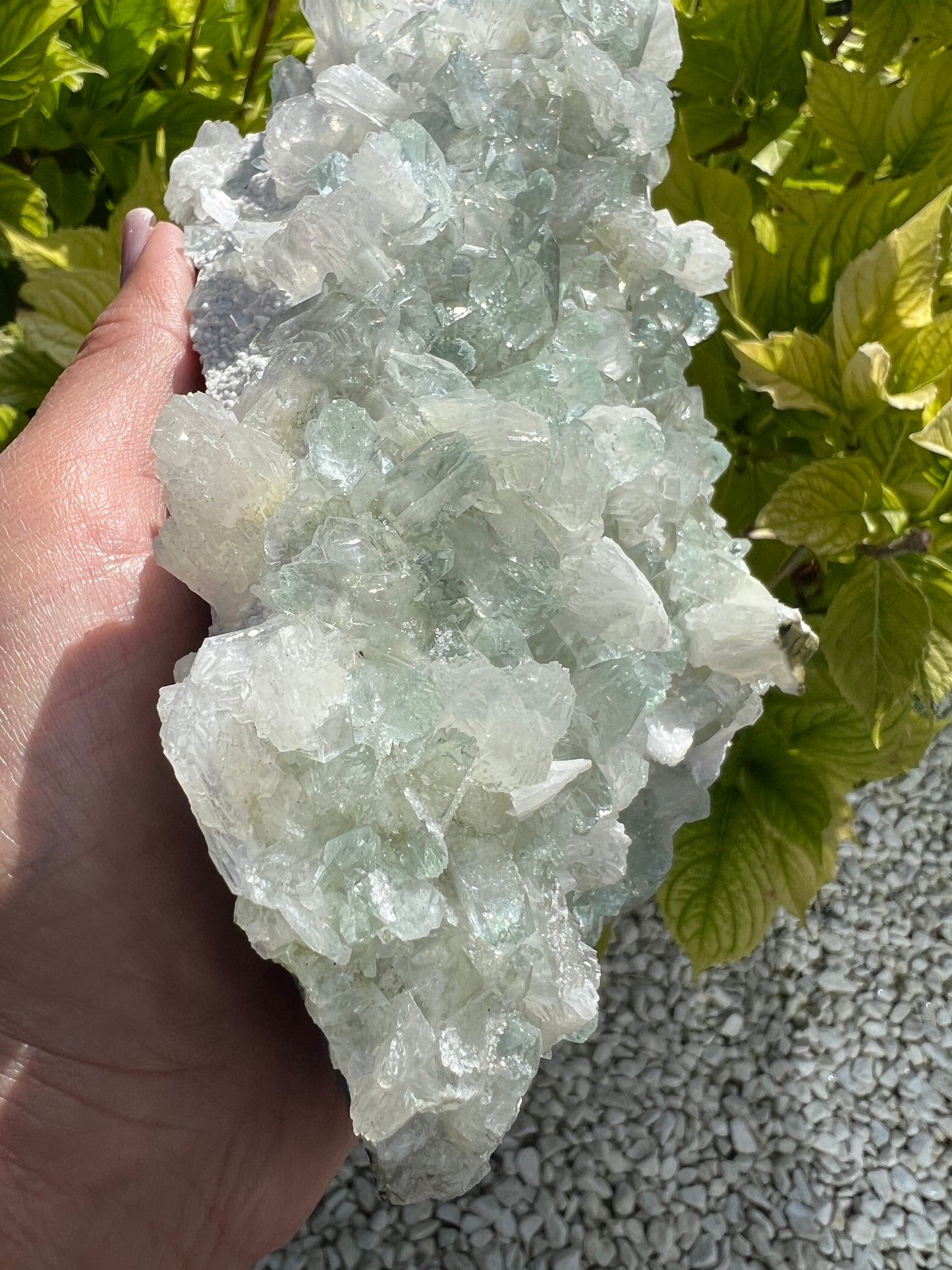 Mint Green Apophyllite with Stilbite (Rare)