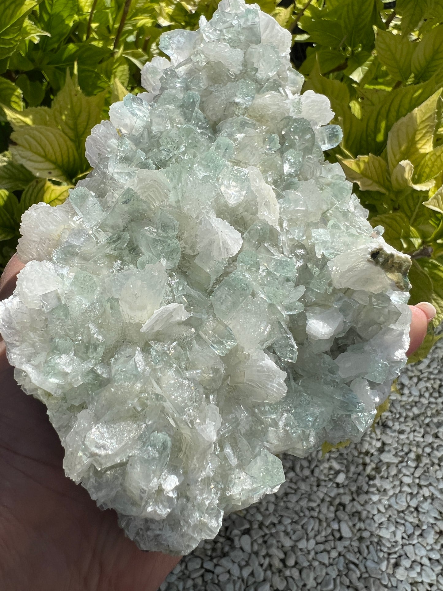 Mint Green Apophyllite with Stilbite (Rare)