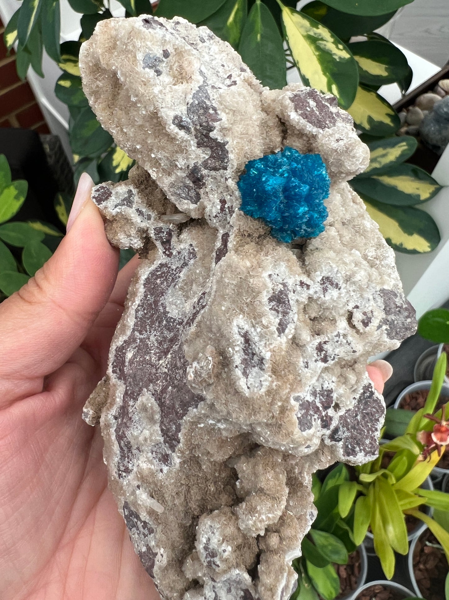 Cavansite on Heulandite