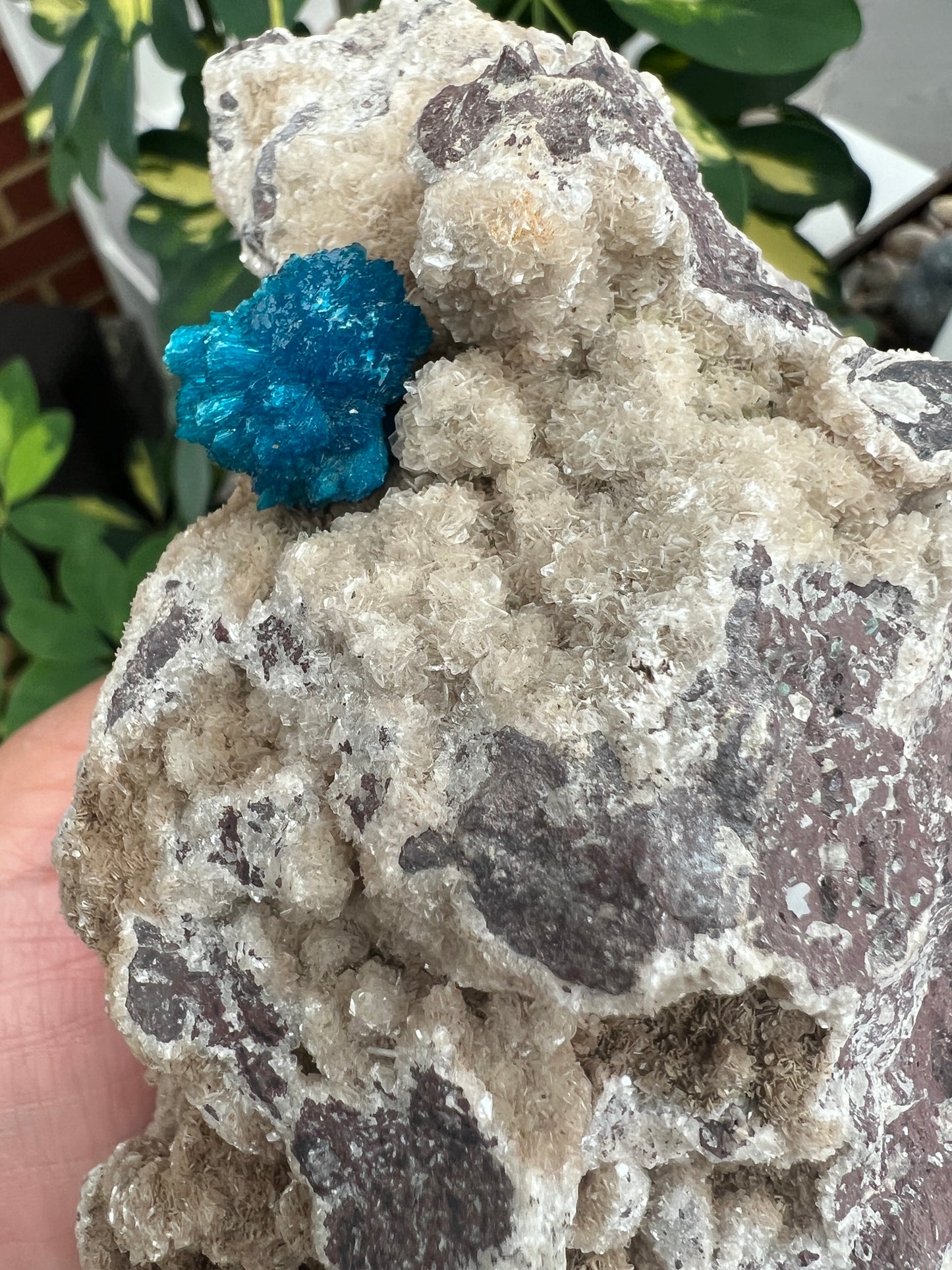 Cavansite on Heulandite