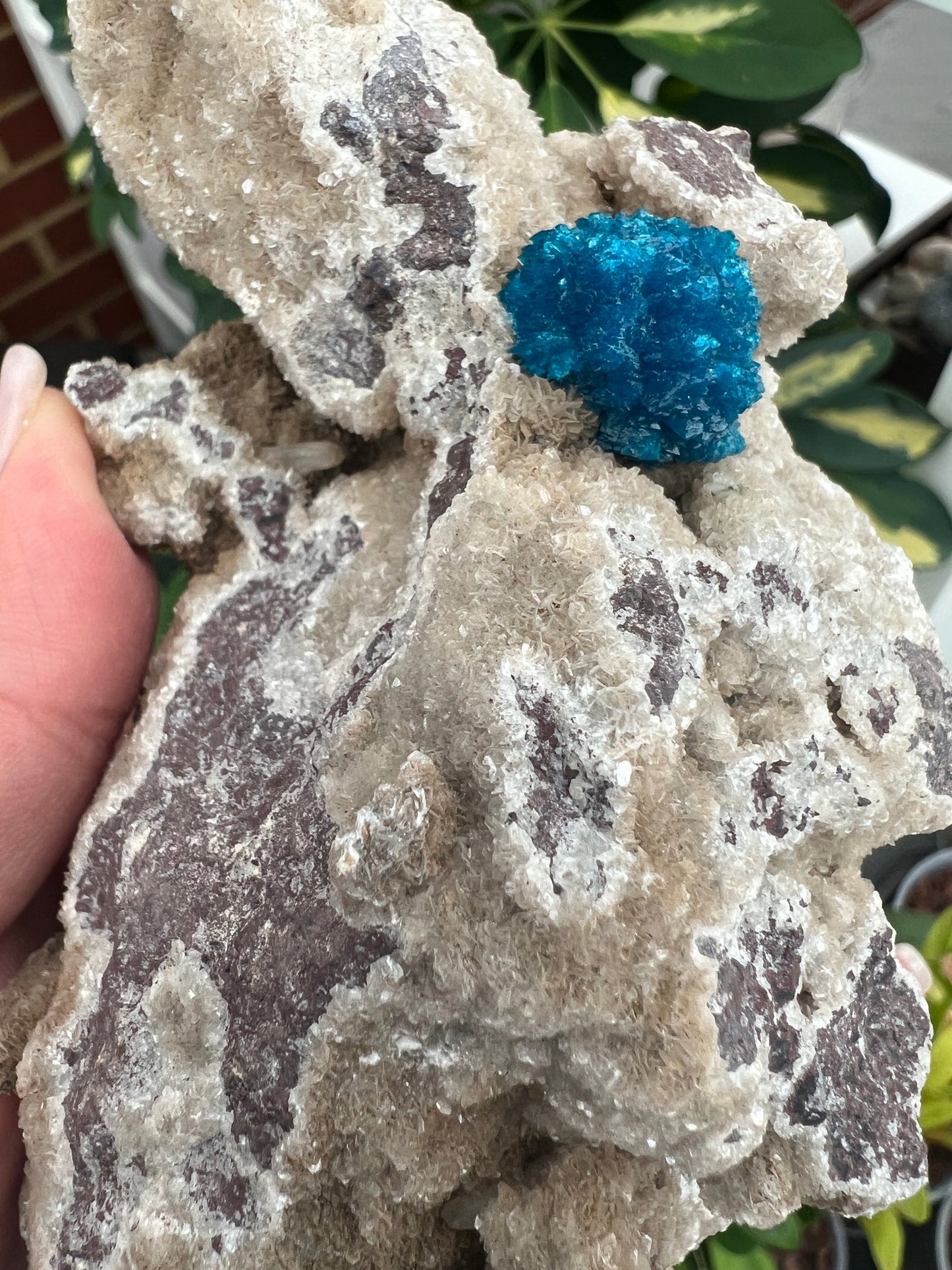 Cavansite on Heulandite