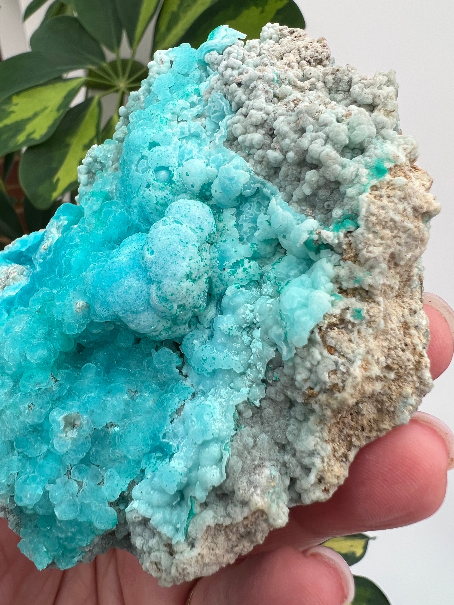 Sparkly Hemimorphite