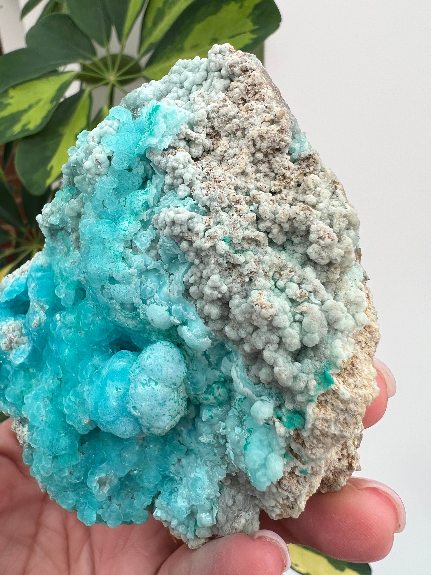 Sparkly Hemimorphite