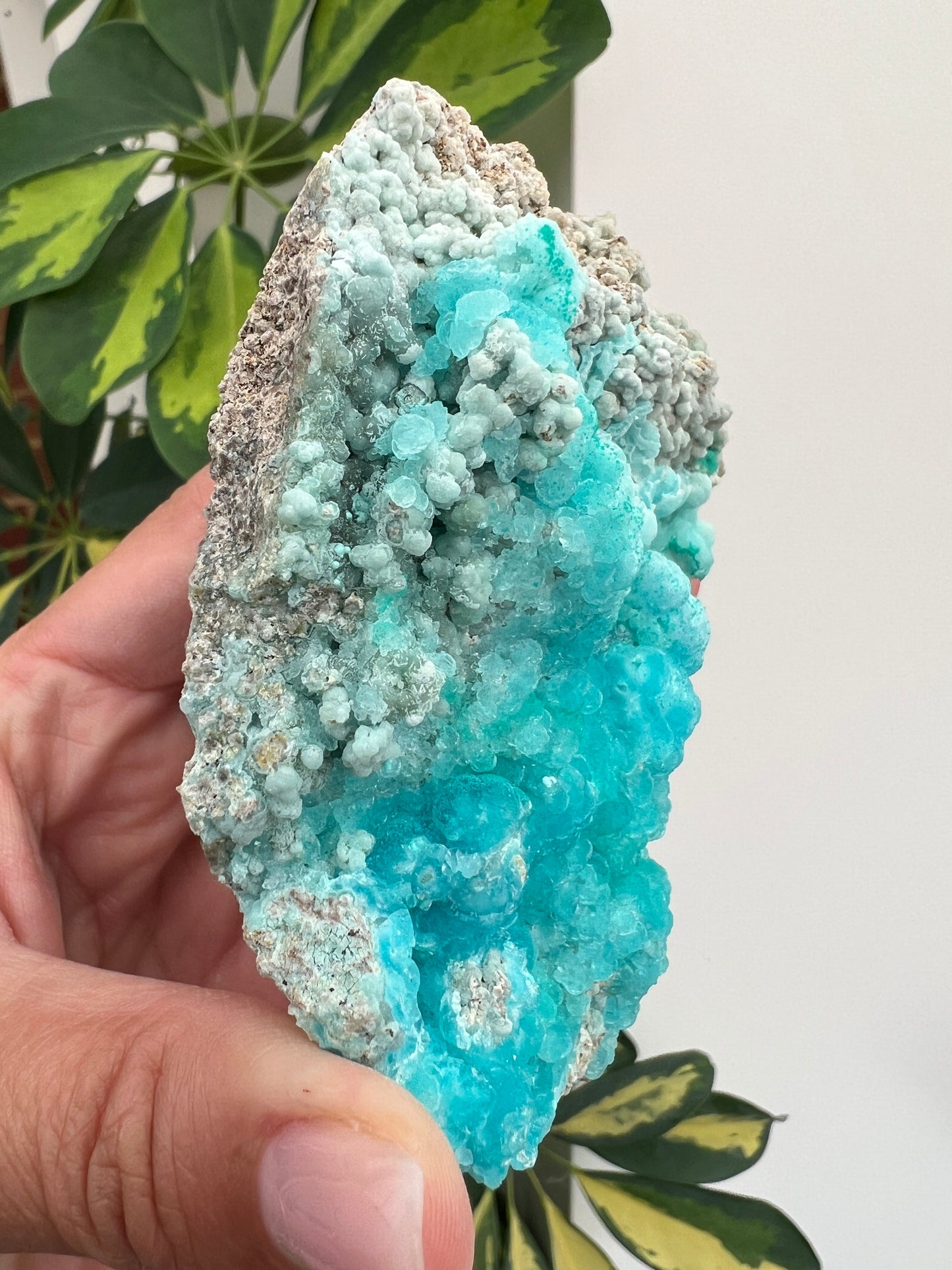 Sparkly Hemimorphite