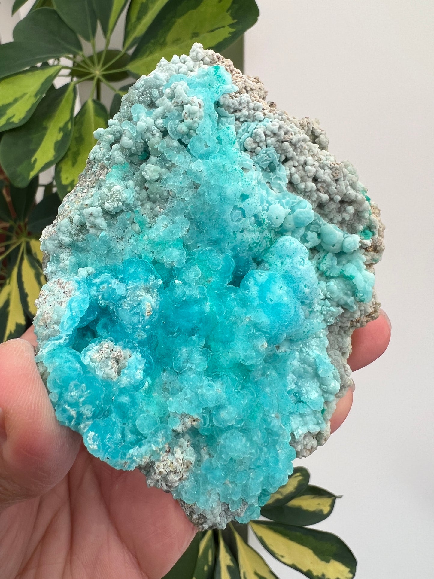 Sparkly Hemimorphite