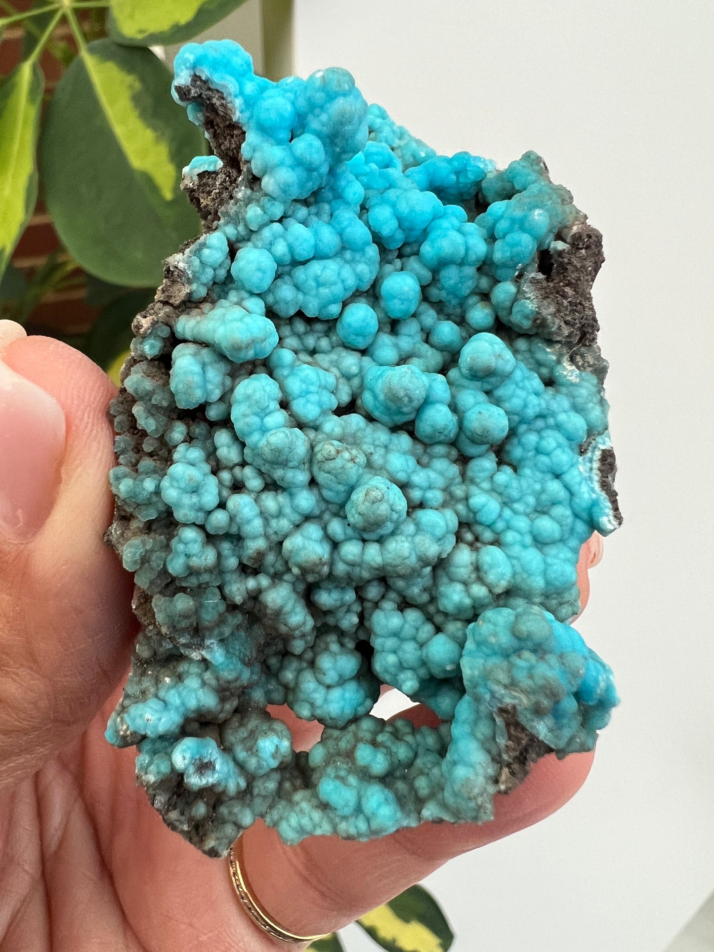 Sparkly Hemimorphite