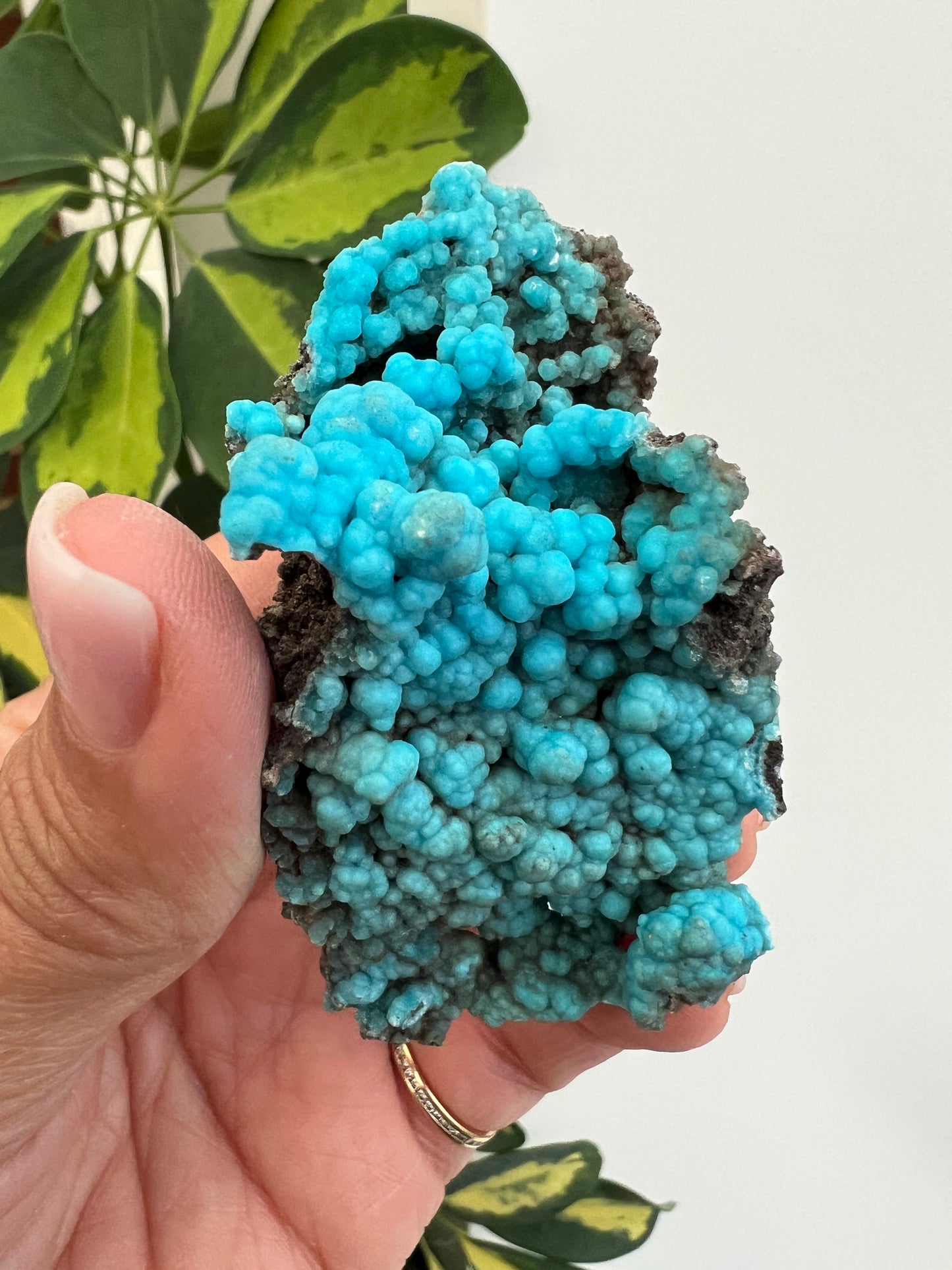 Sparkly Hemimorphite