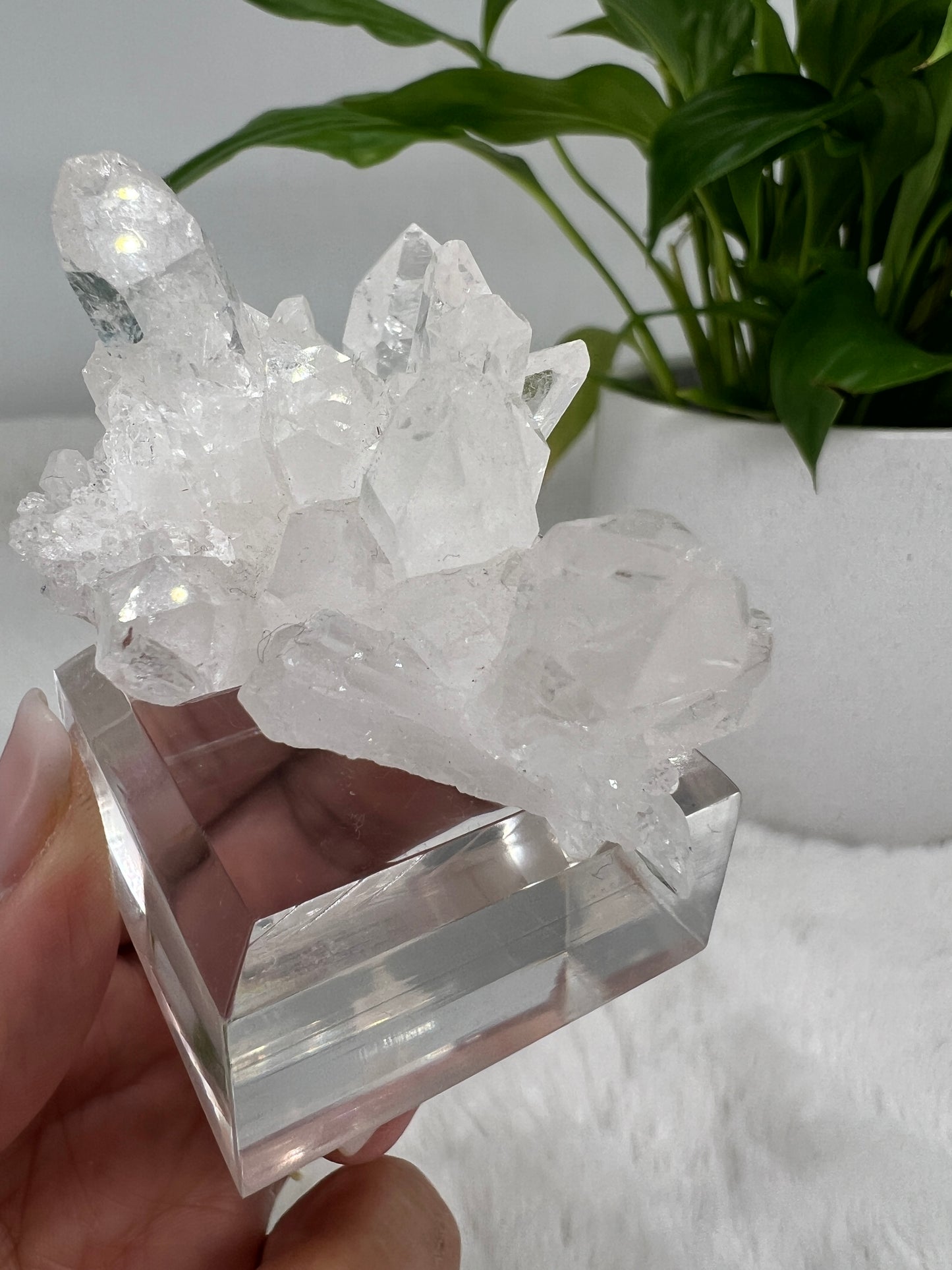 Starbrary Lemurian Cluster