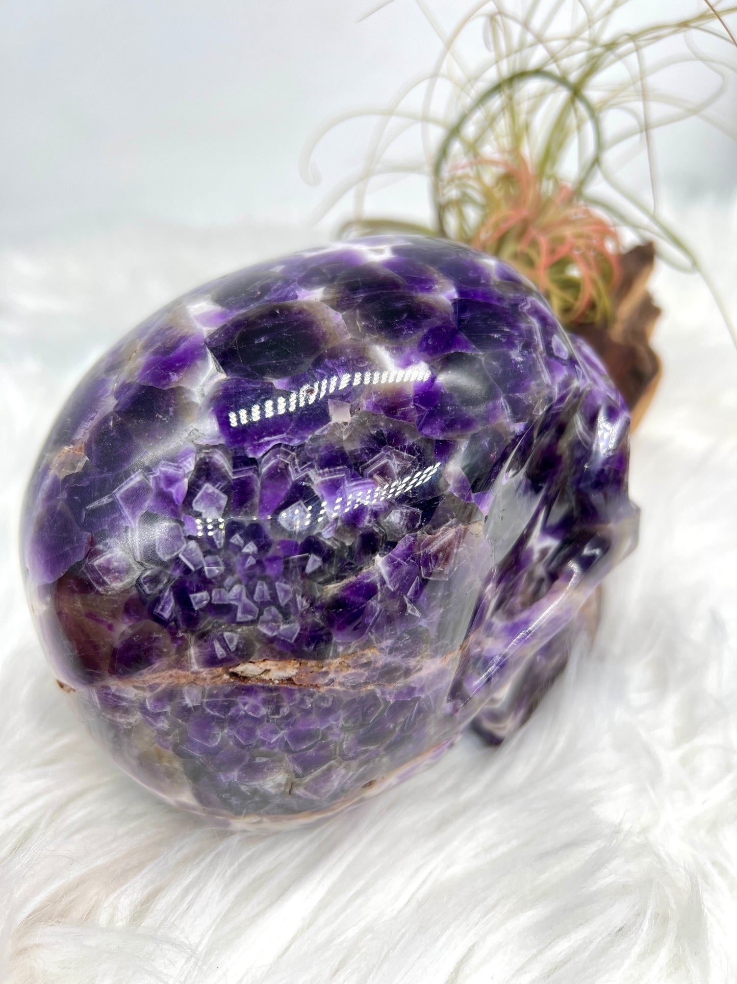 Chevron Amethyst Skull