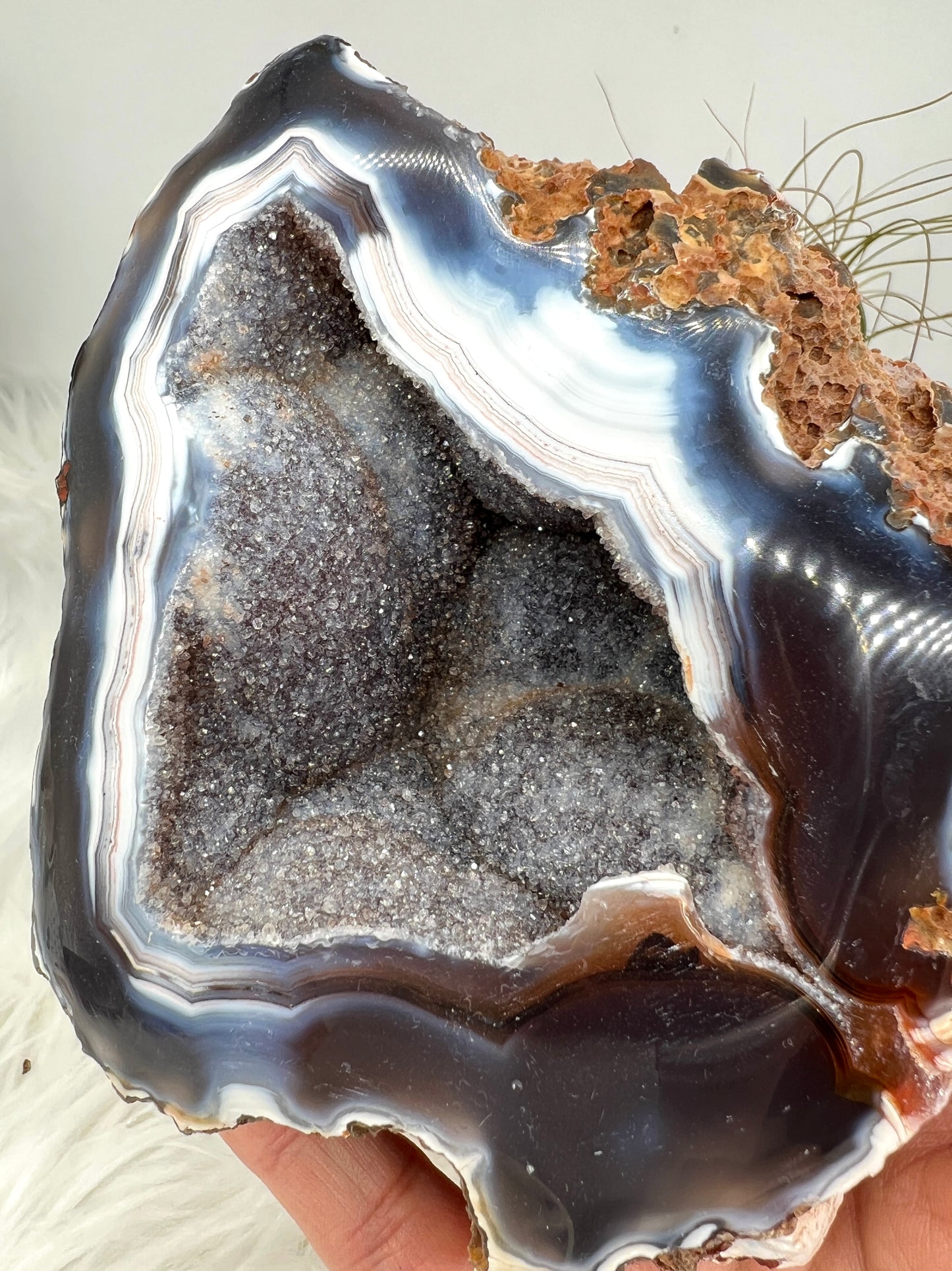 Druzy Black Chalcedony and Agate Geode