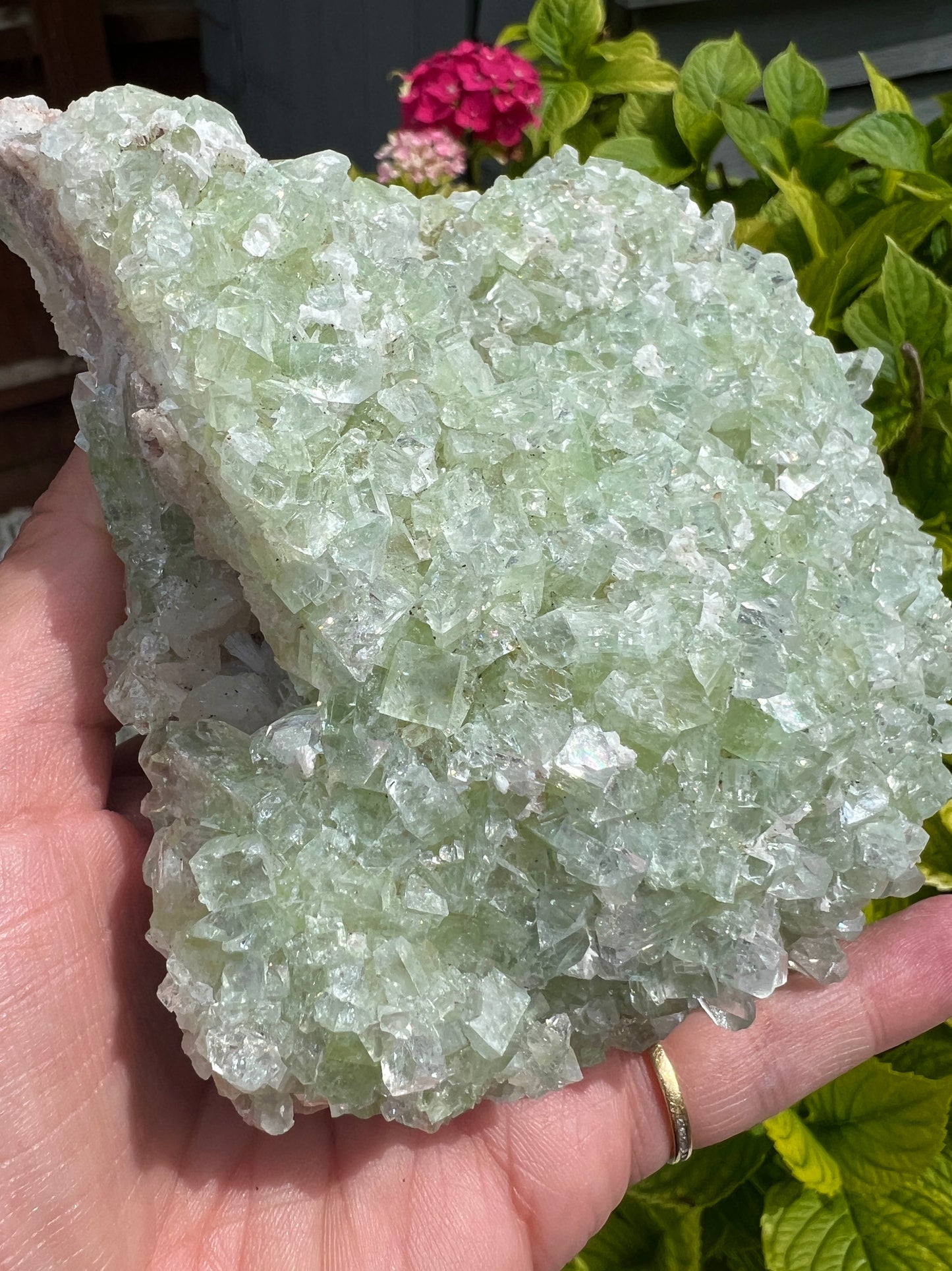 Green Apophyllite (Rare)