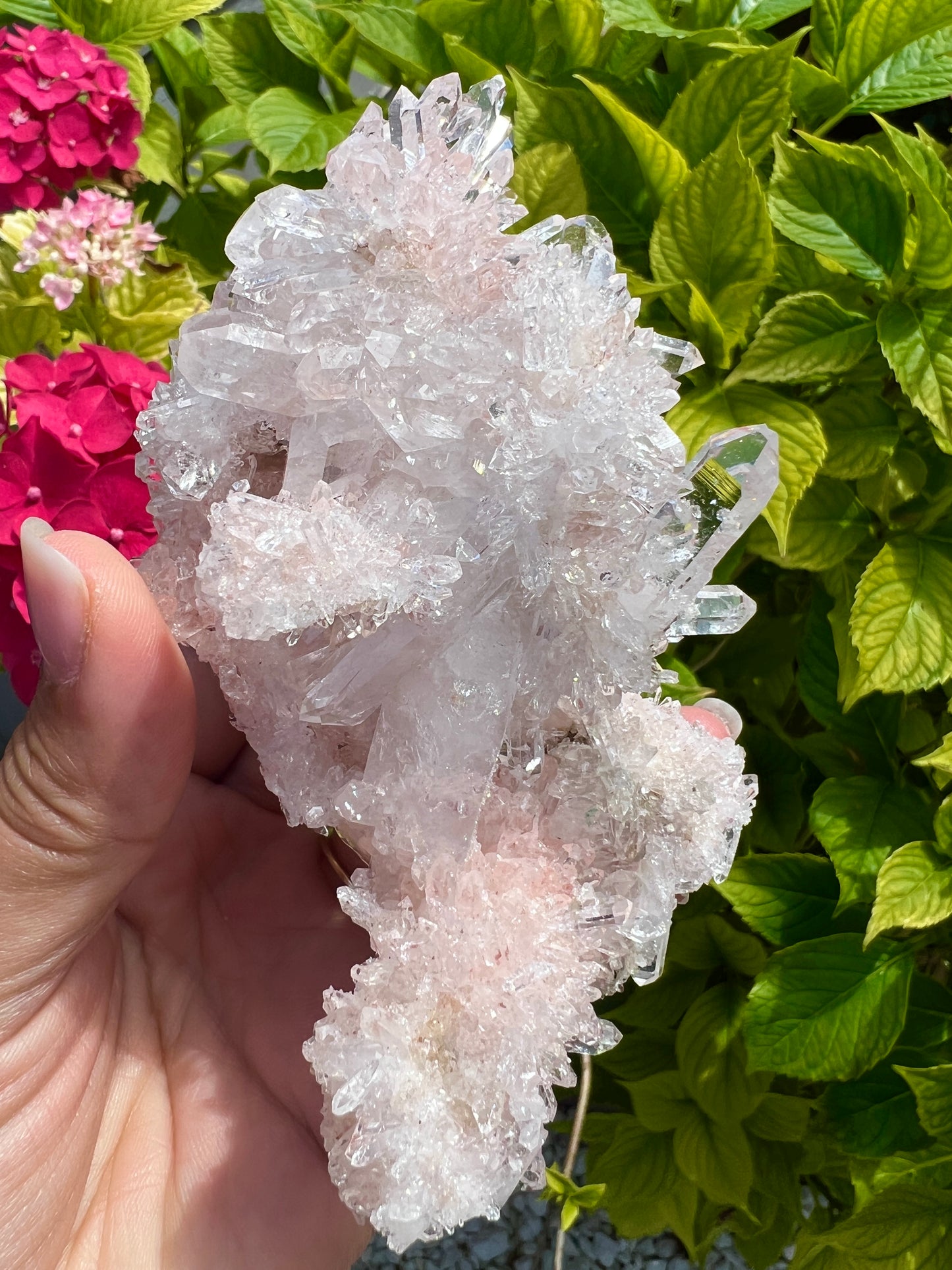 Pink Columbian Lemurian Cluster