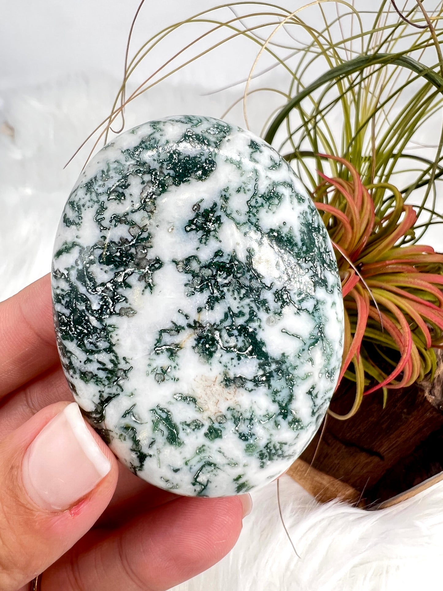 Tree Agate Palmstone