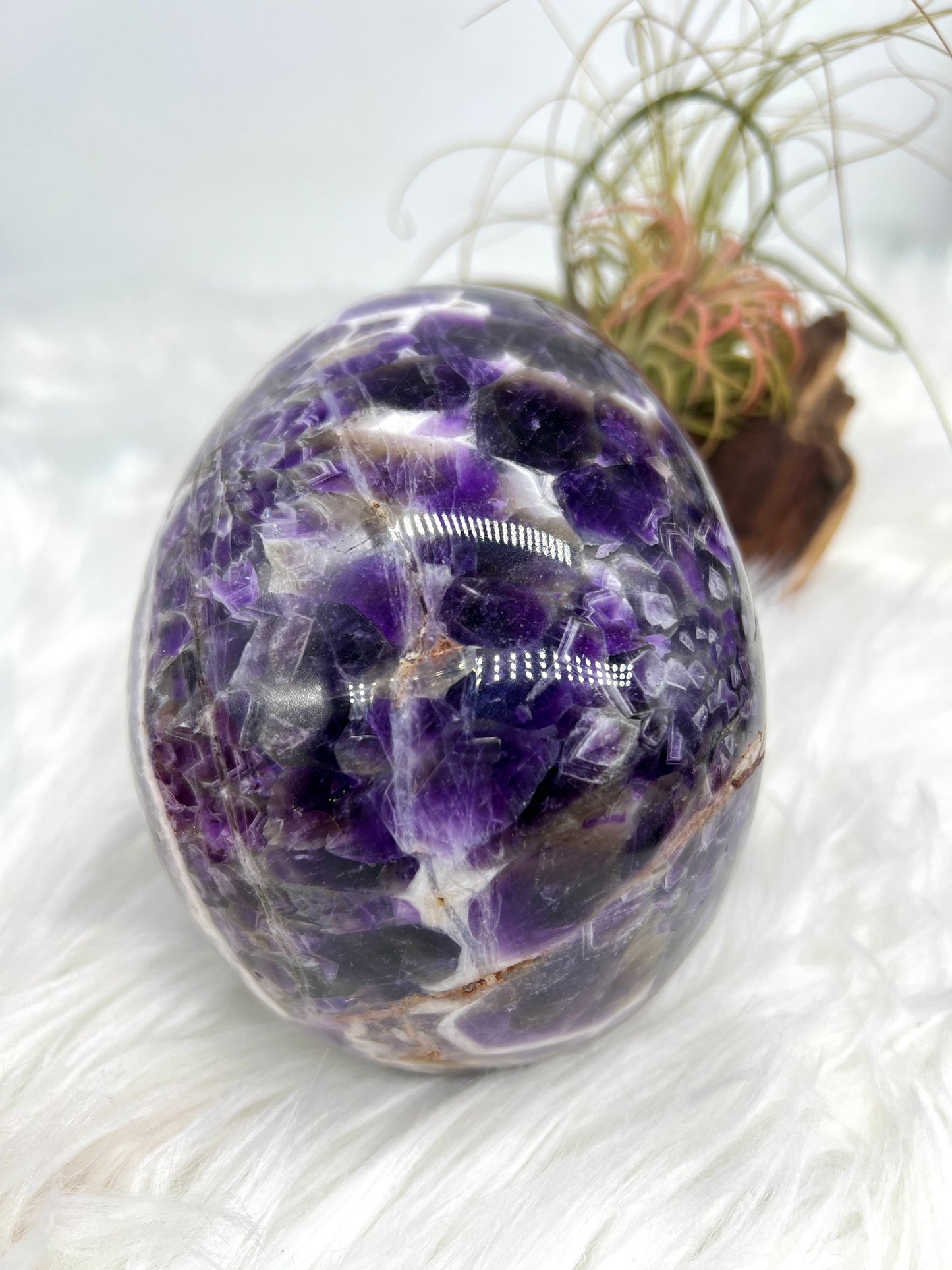 Chevron Amethyst Skull