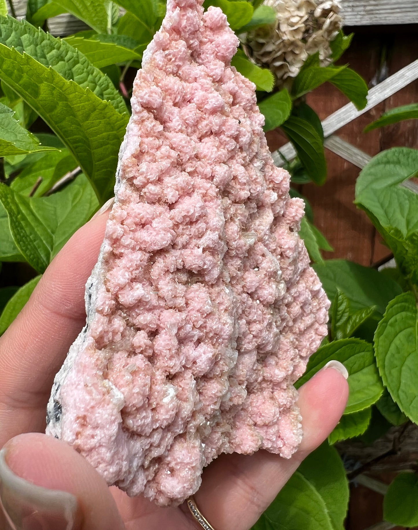 Rhodochrosite with Stilbite