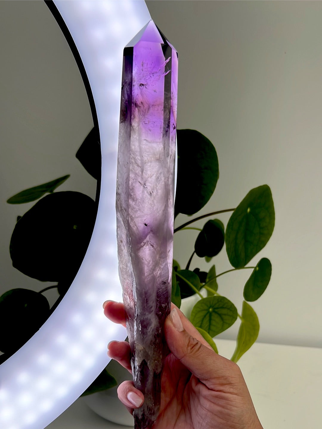 Amethyst Sceptre with Phantoms