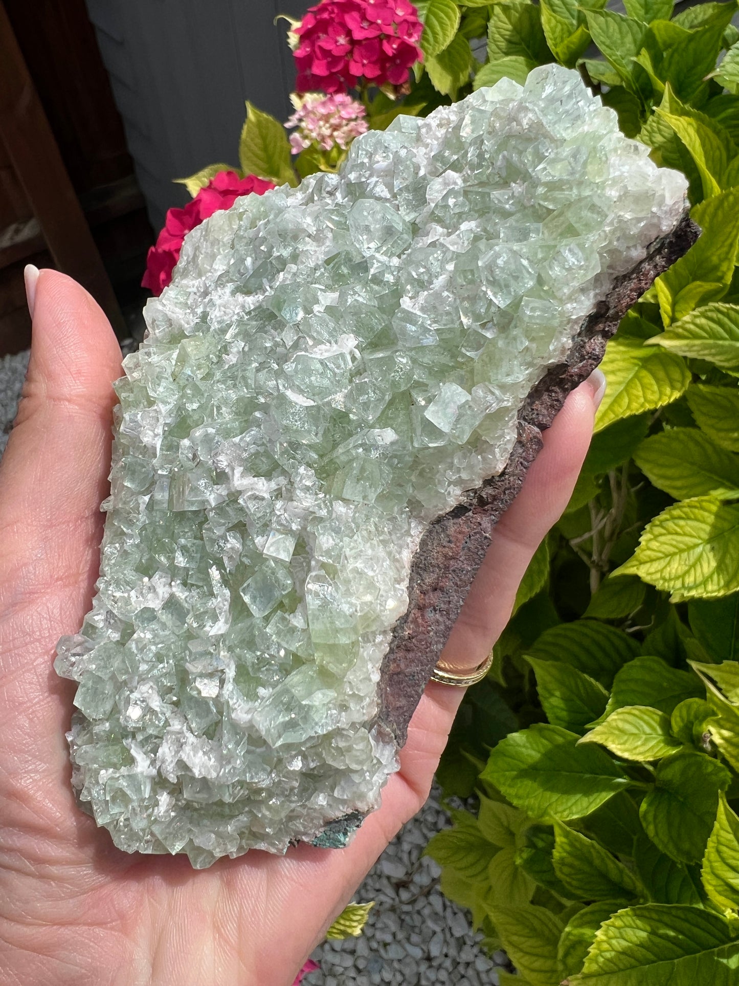 Green Apophyllite (Rare)