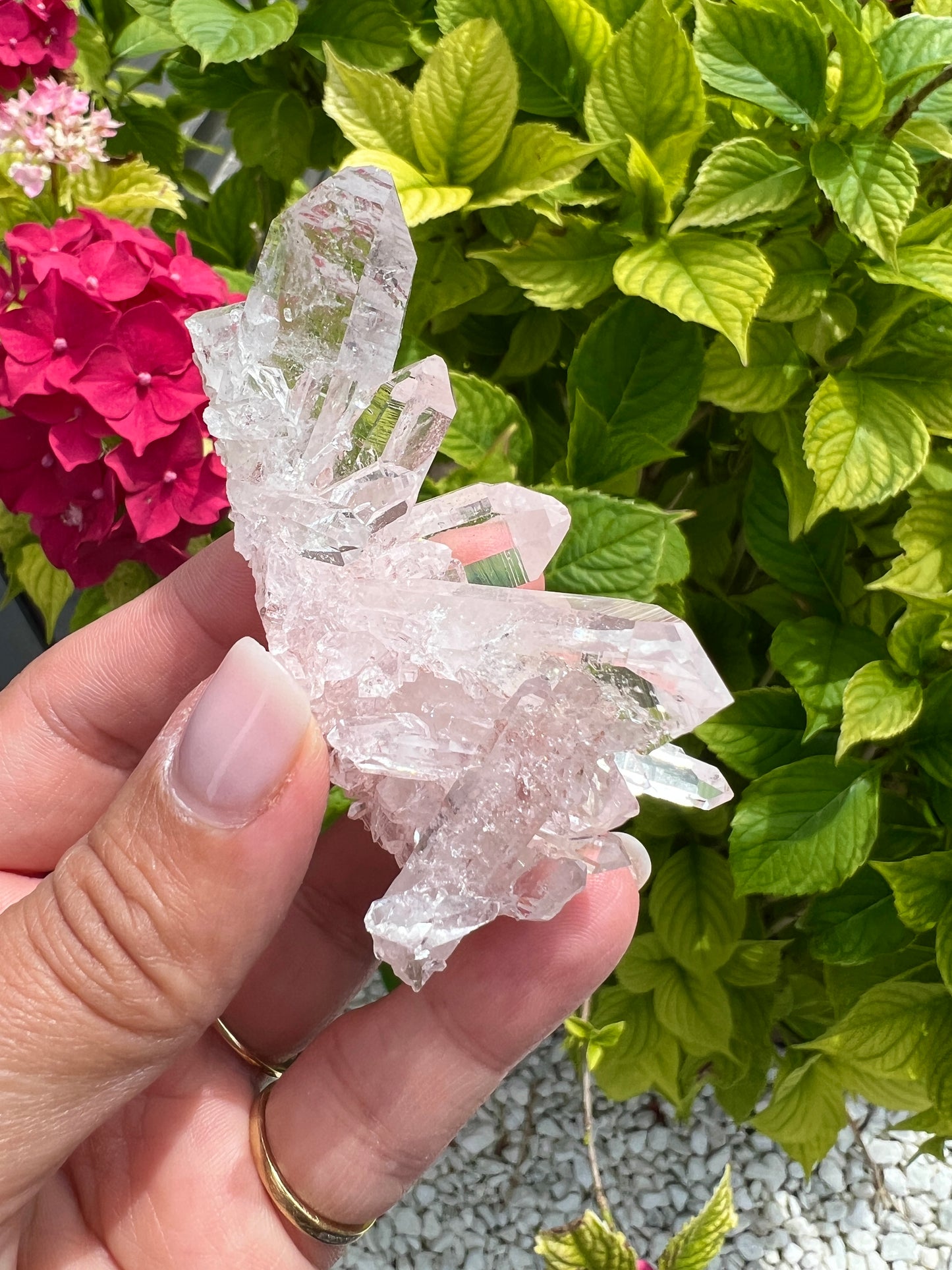 Pink Columbian Lemurian Cluster