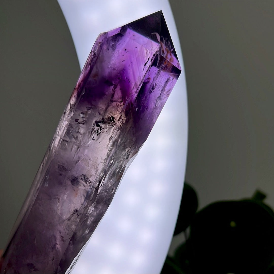 Amethyst Sceptre with Phantoms