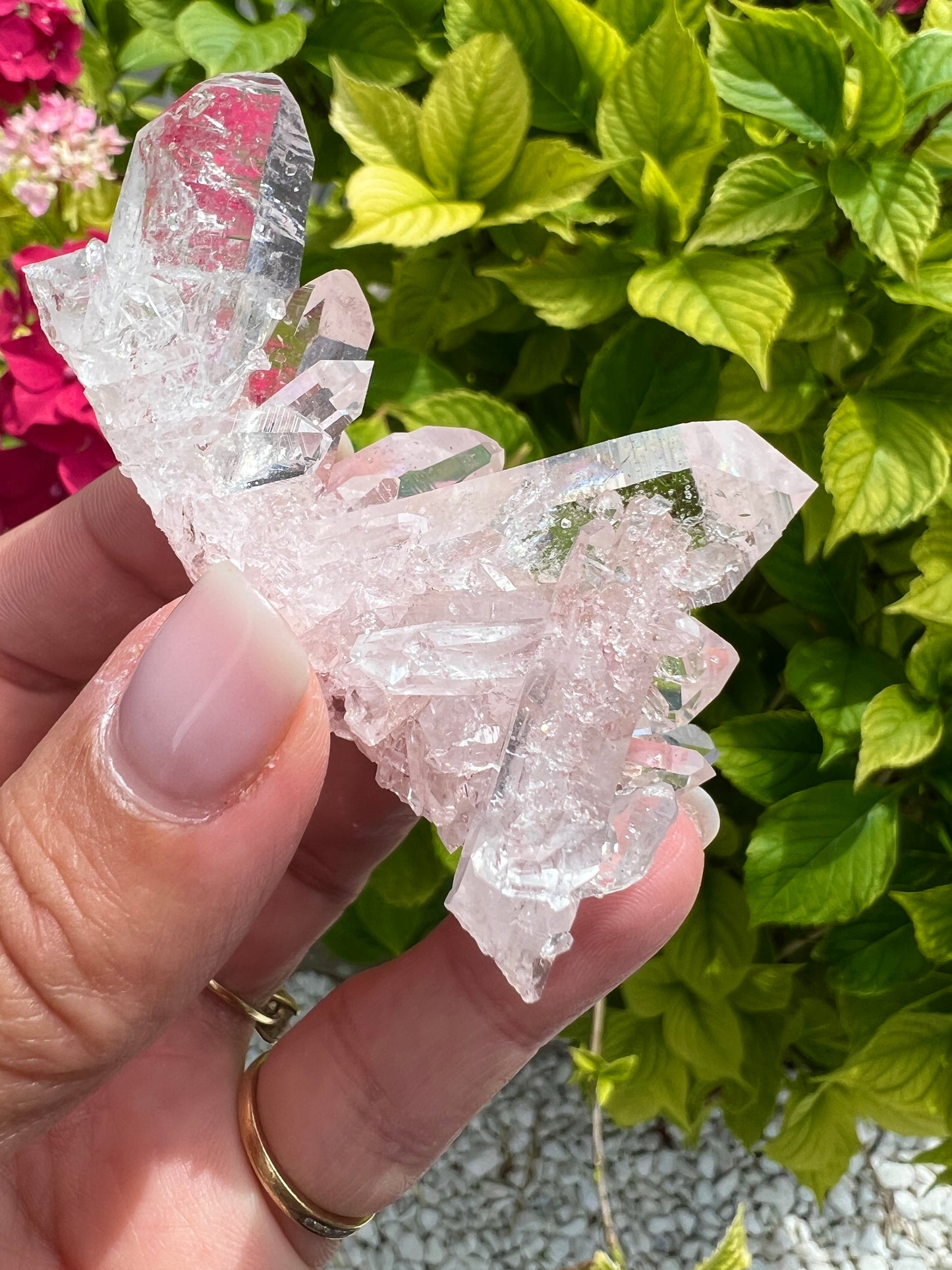 Pink Columbian Lemurian Cluster