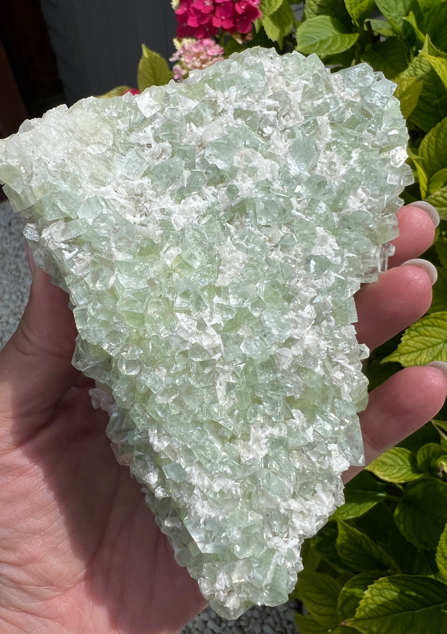 Green Apophyllite (Rare)