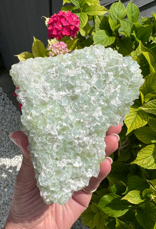 Green Apophyllite (Rare)