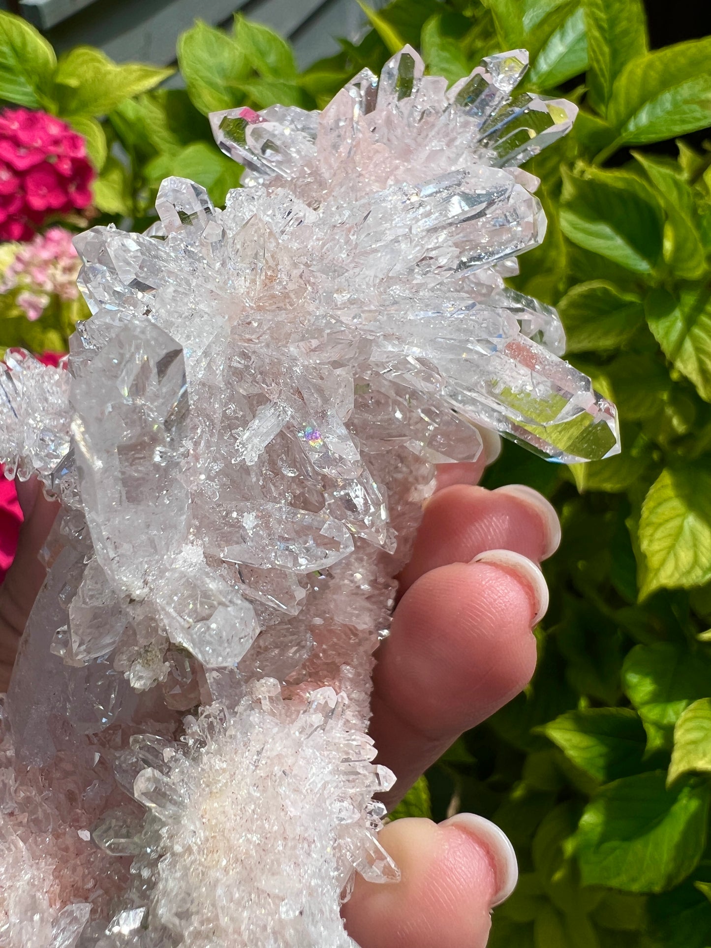 Pink Columbian Lemurian Cluster