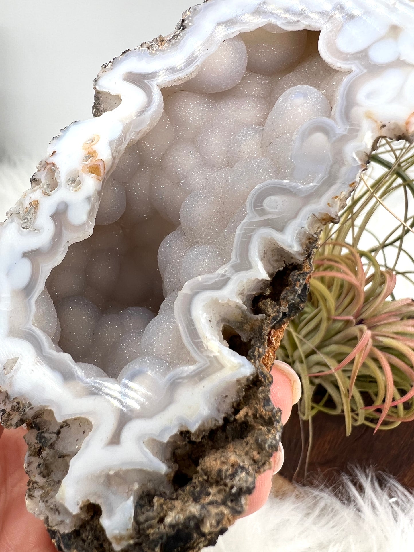 Druzy Chalcedony and Agate Geode